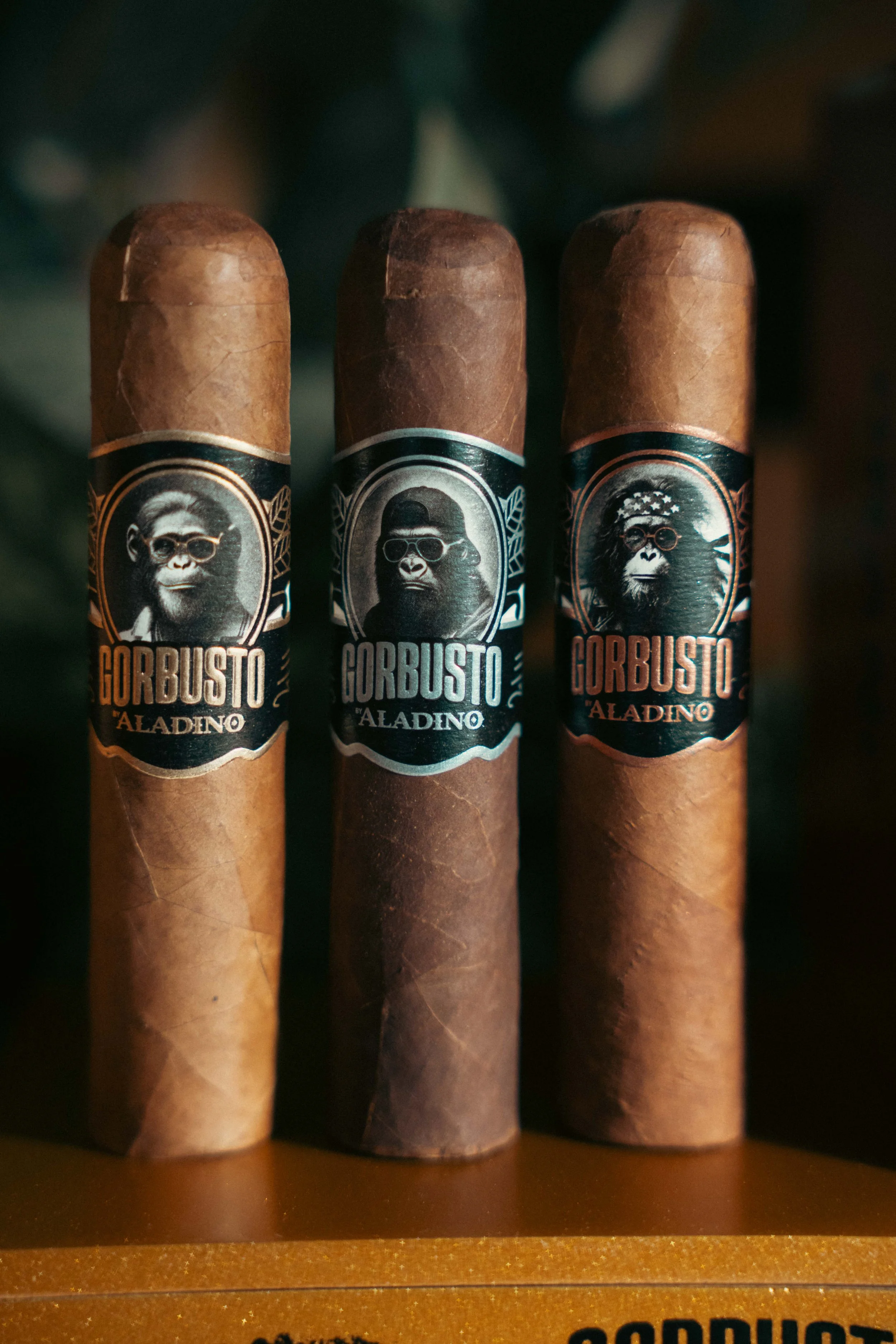 Gorbusto-03.jpg