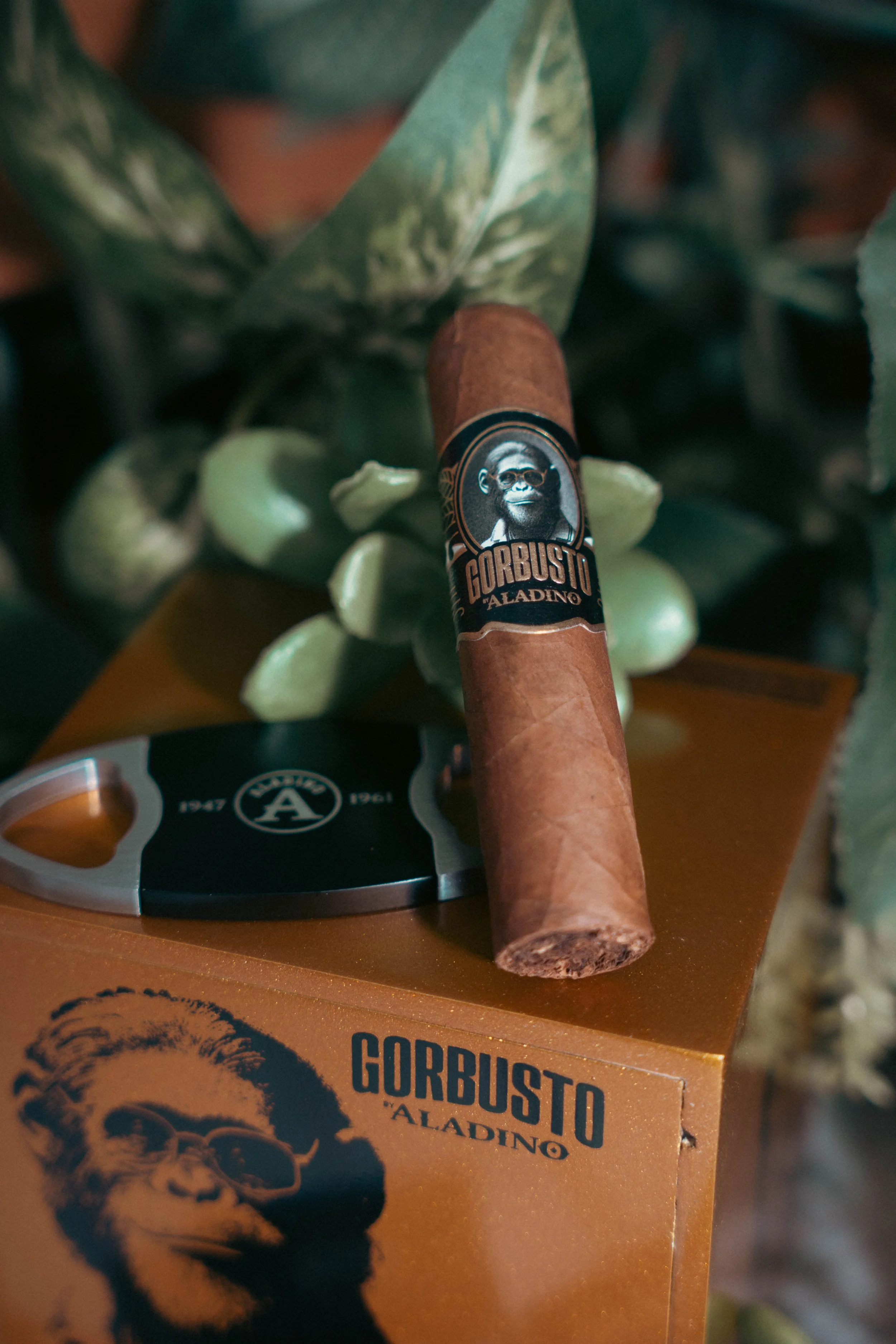 Gorbusto-09.jpg
