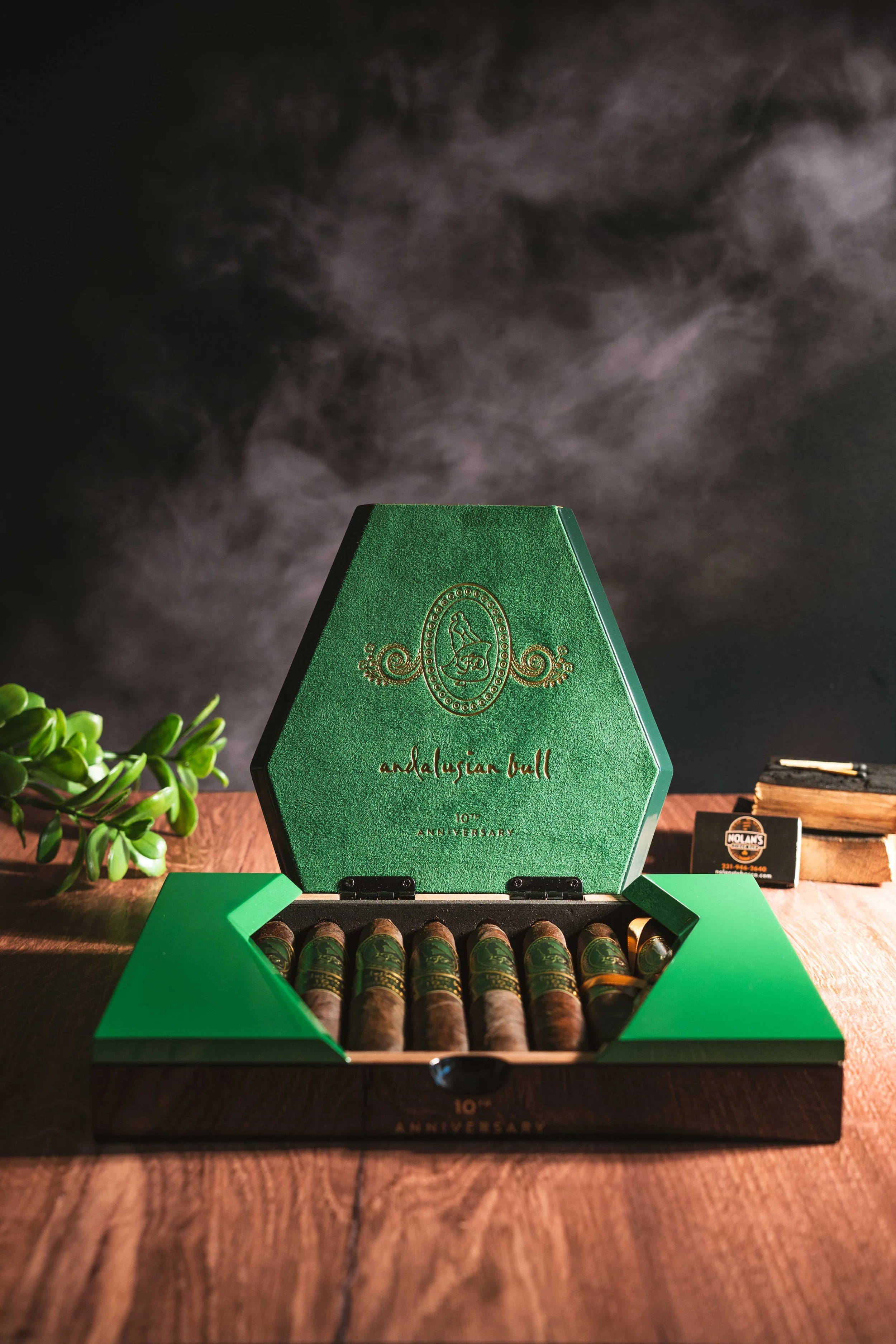 Andalusion-Bull-10th-01.jpg