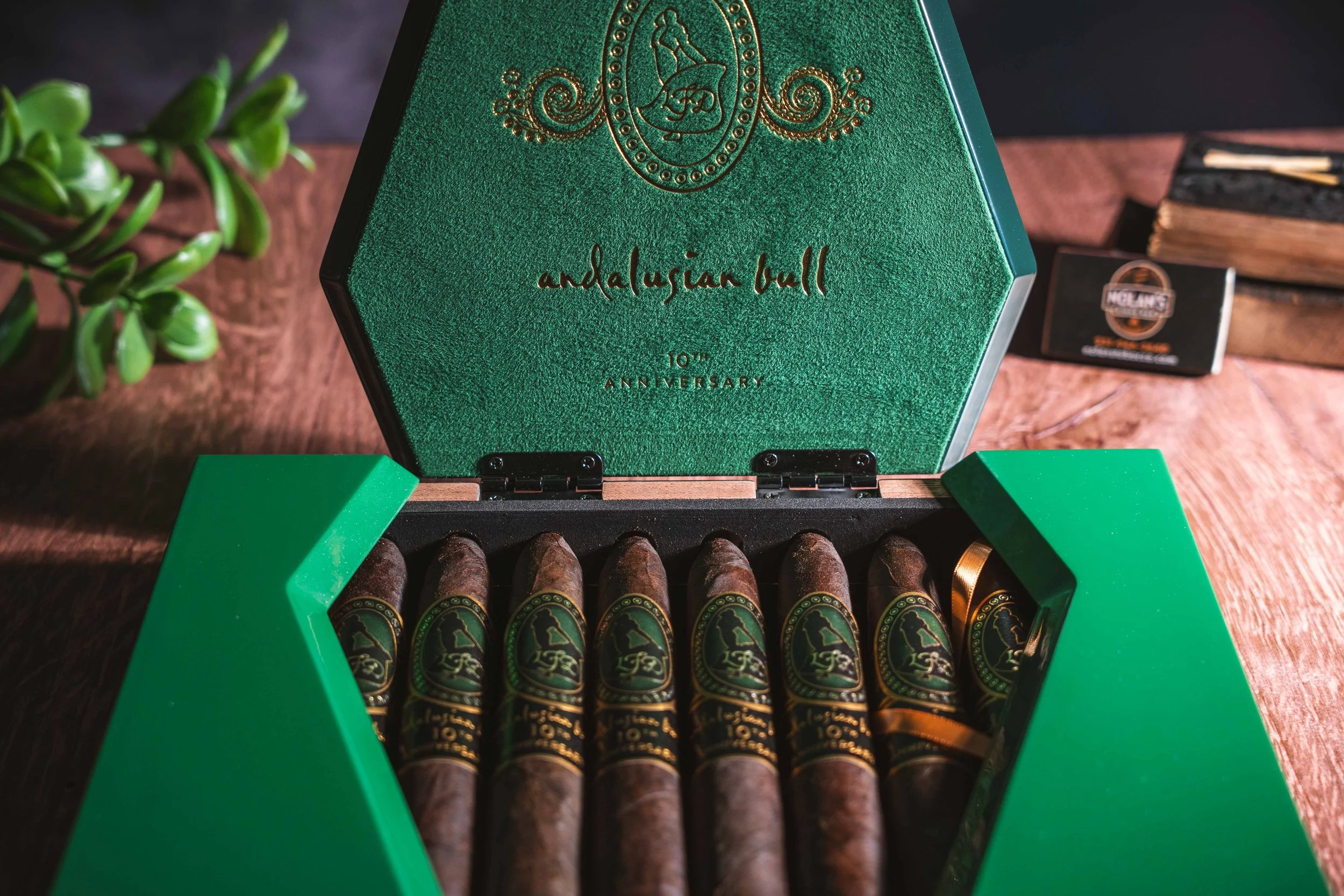 Andalusion-Bull-10th-03.jpg
