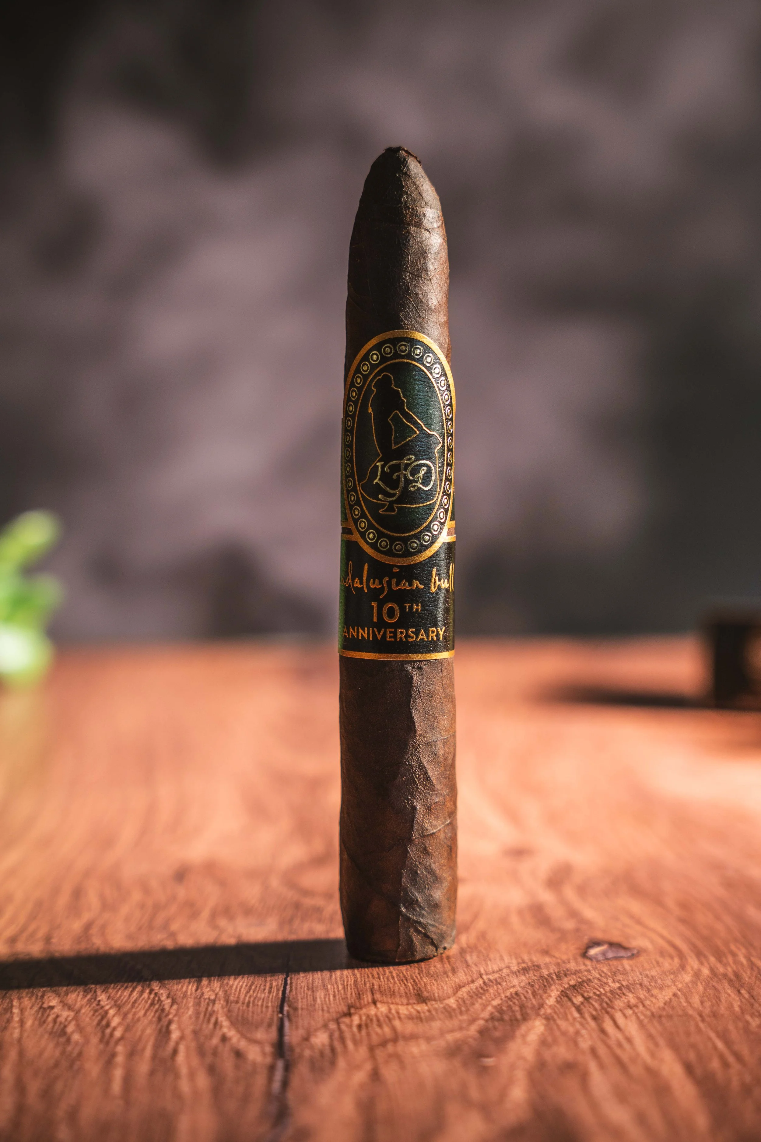Andalusion-Bull-10th-06.jpg