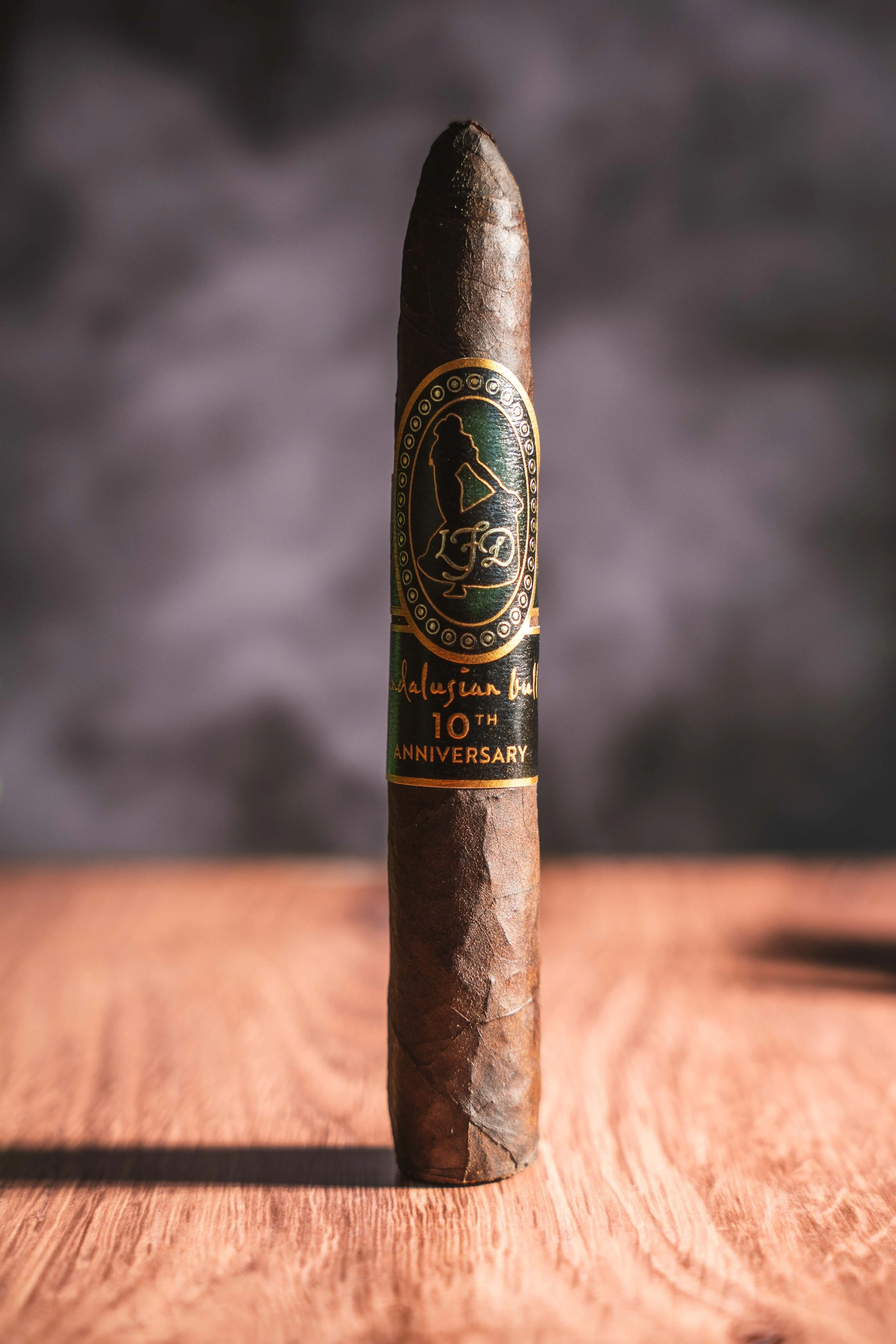 Andalusion-Bull-10th-07.jpg