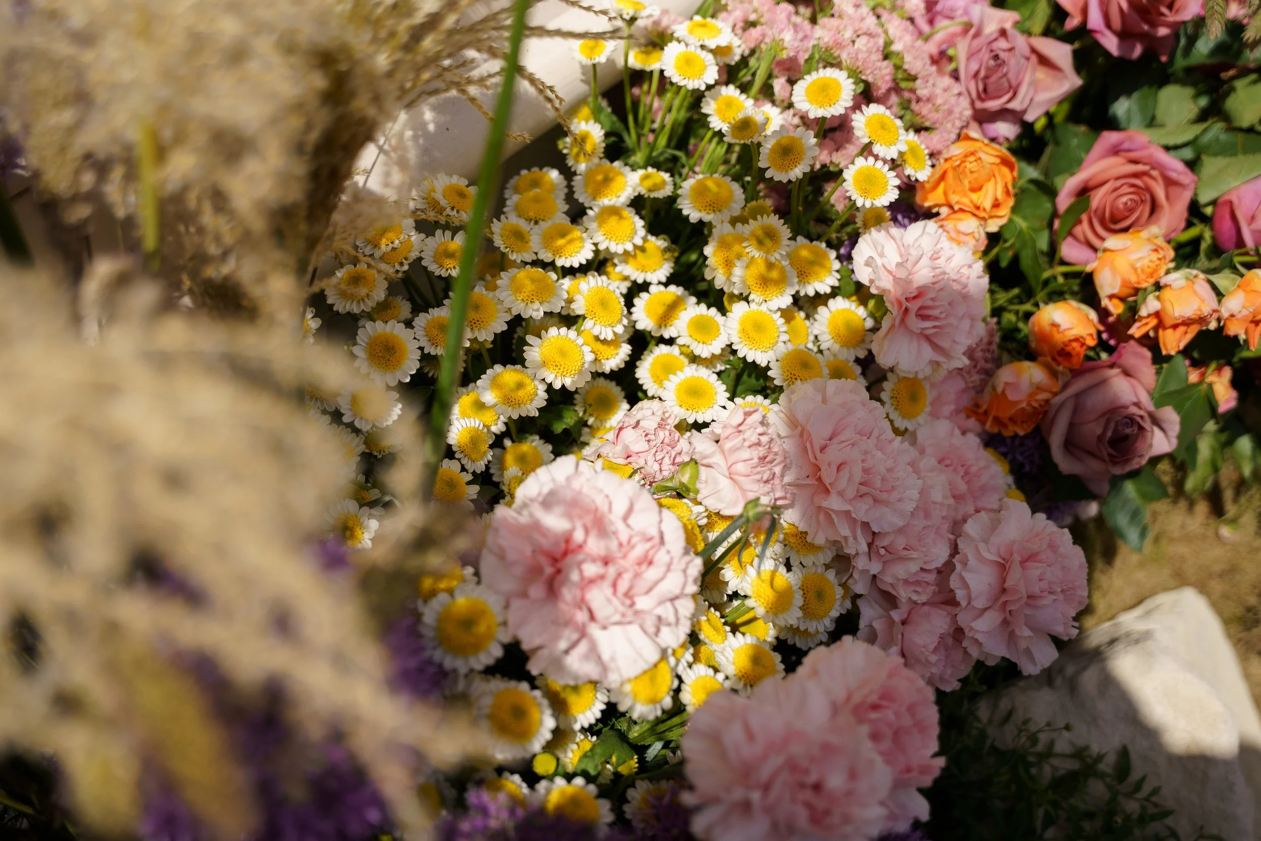 DSC02149.jpg