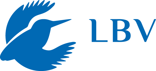Logo featuring a stylized blue bird in flight next to the letters "LBV" in blue.