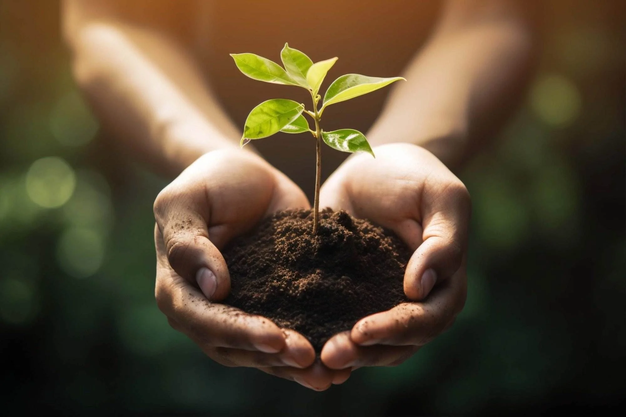 Aula #40: Sustentabilidade no Dia a Dia