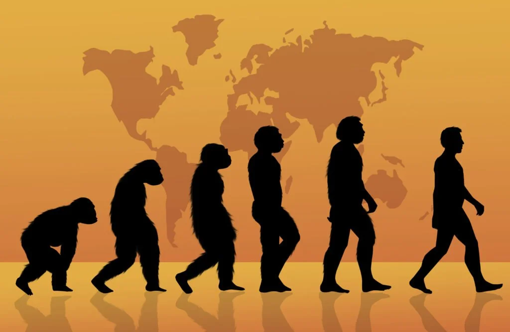 Aula #69: Introdução à antropologia: entendendo o mundo através das pessoas