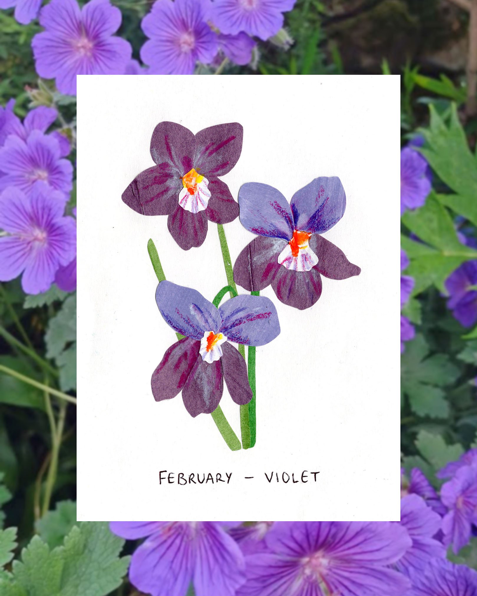 february violet post.jpg