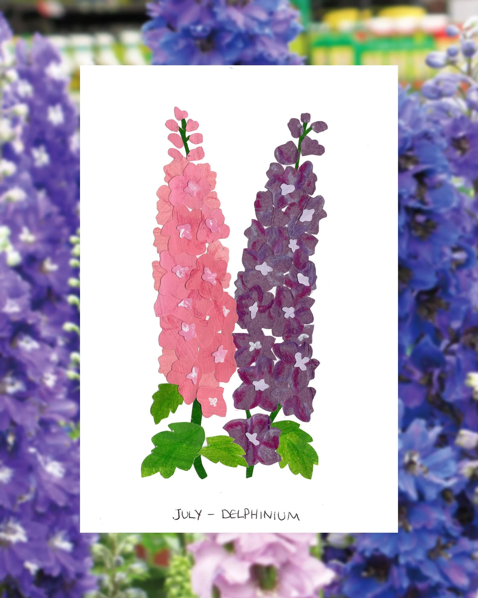 july delphinium post.jpg