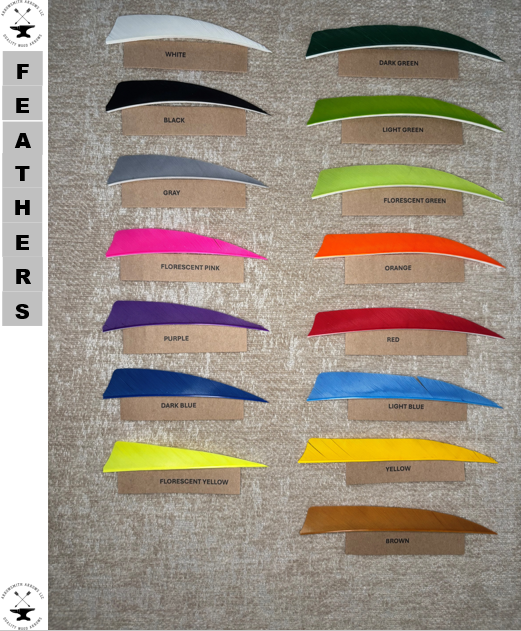 Feathers.png