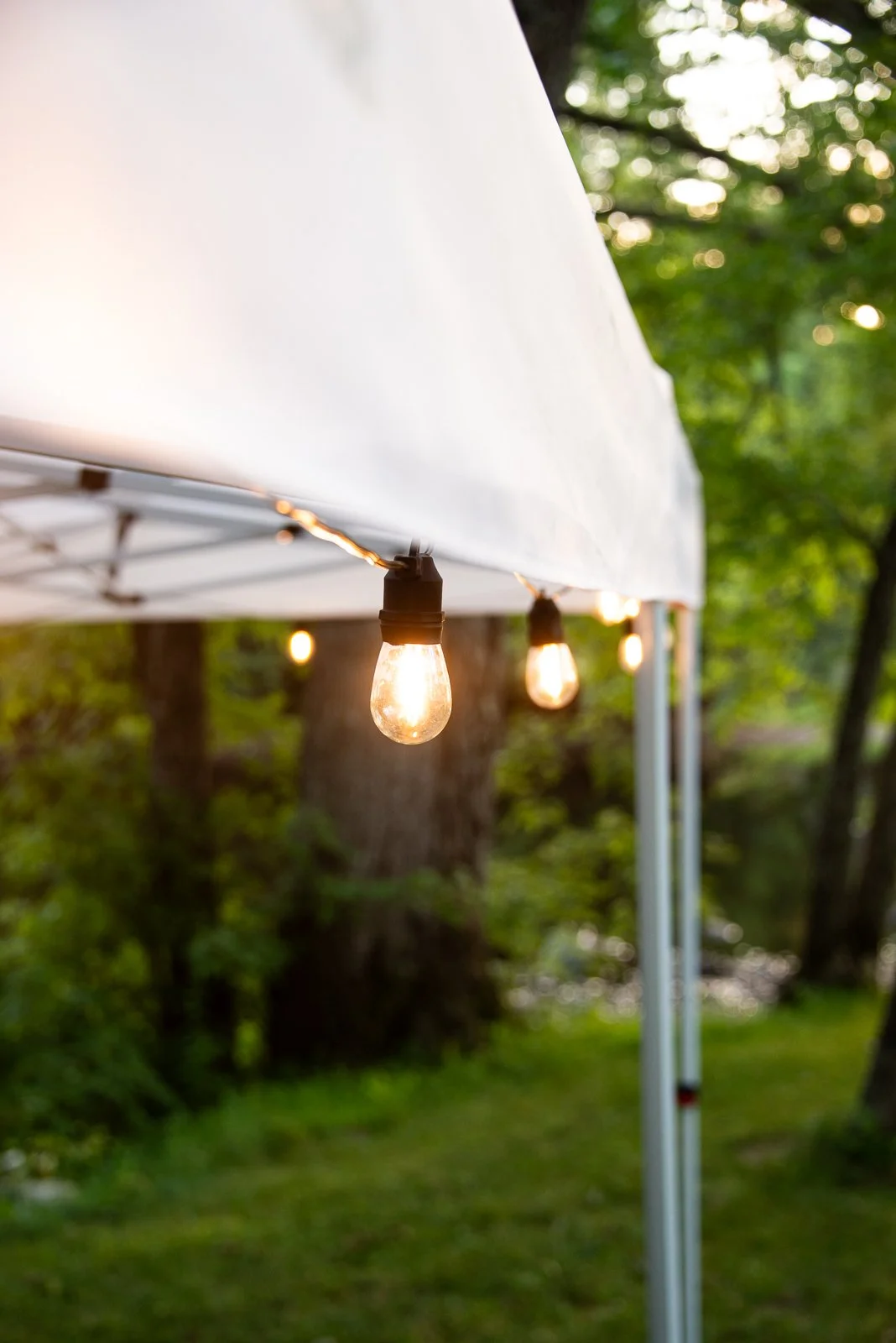 Black Bistro Lights Close up.jpg