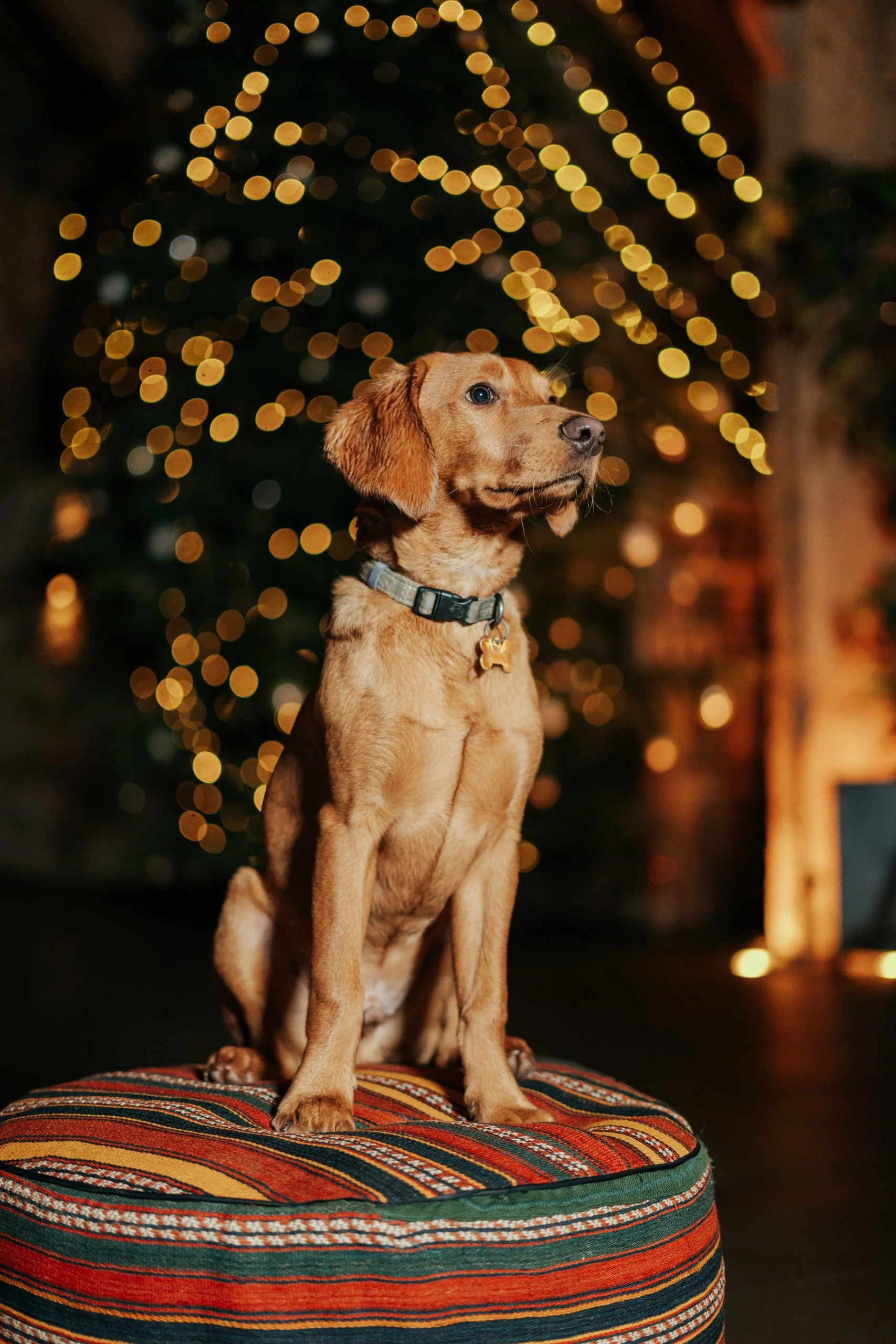 Tithe - Sam Ashton - 18.12.25 - SA201915-small.jpg