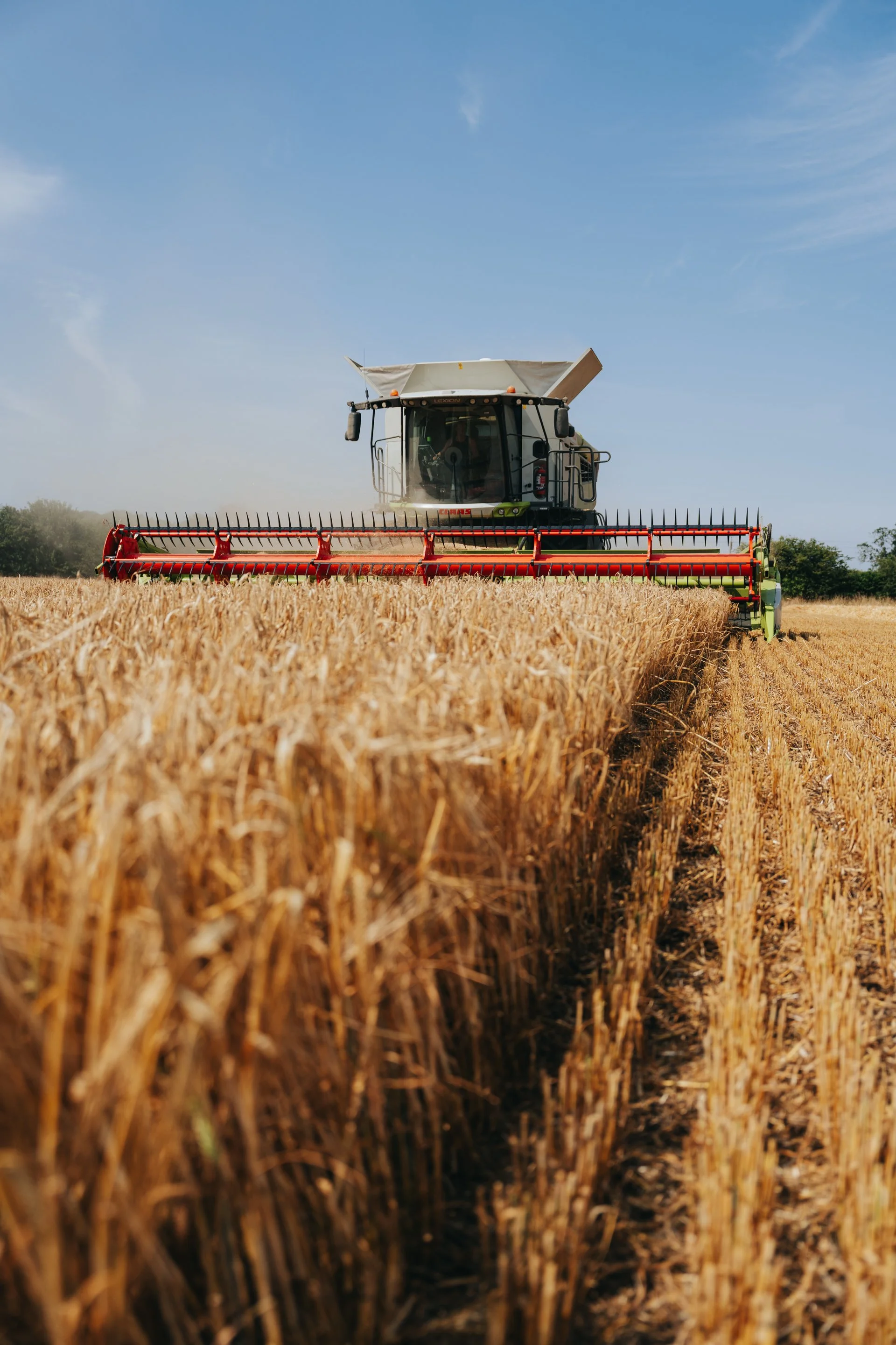 Combine, Tractors and Corn