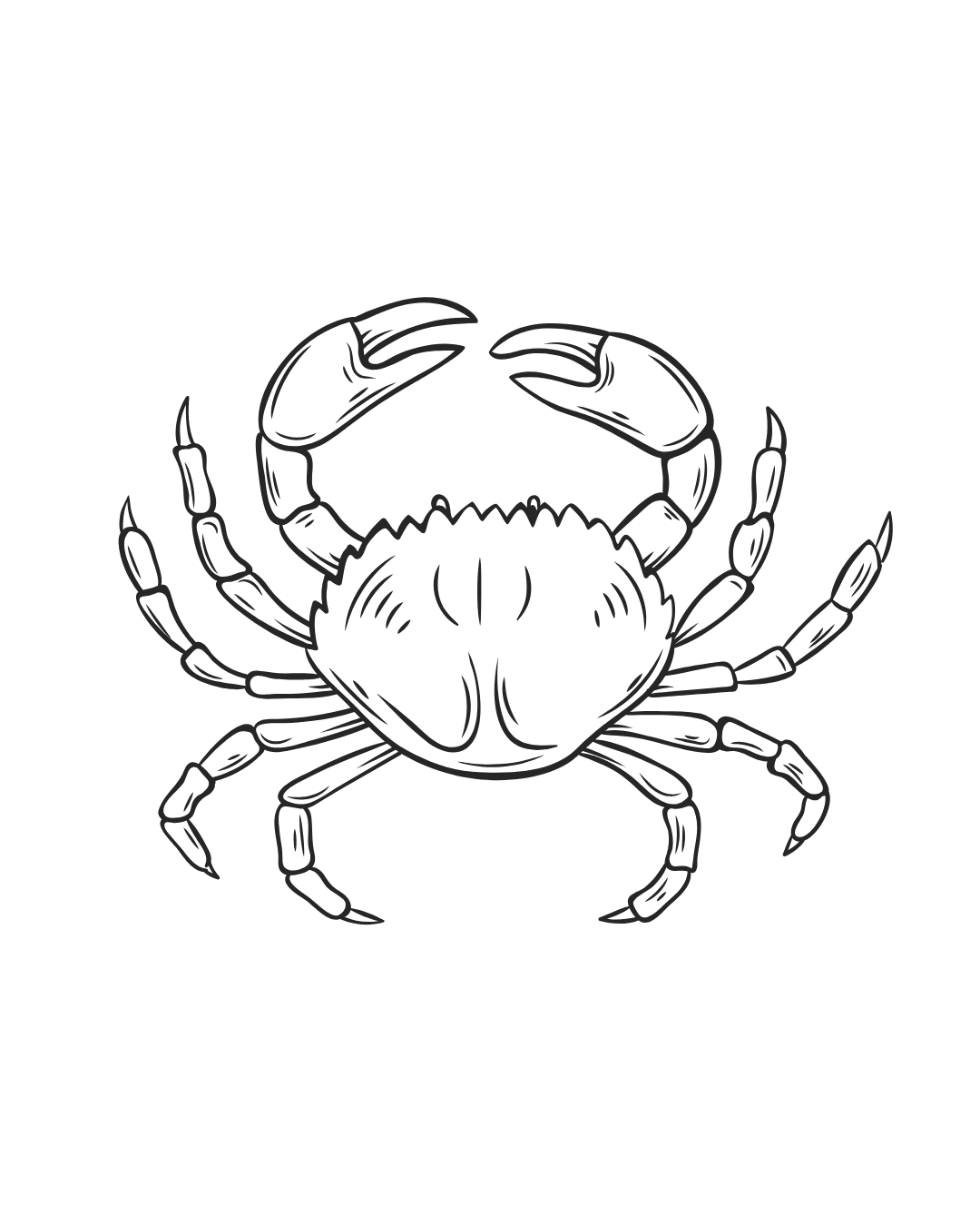 Outline drawing of a crab with claws raised and legs spread wide.