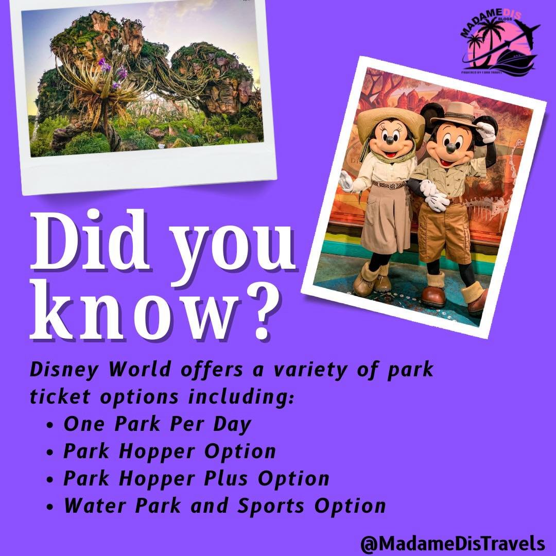 Did you know Disney World has multiple ticket options? 

🎫 One Park Per Day - Classic choice
🏰 Park Hopper - Jump between parks (my fave!)
⭐ Park Hopper Plus - Includes water parks too
🏊&zwj;♀️ Water Park &amp; Sports - Perfect add-on

Not sure wh