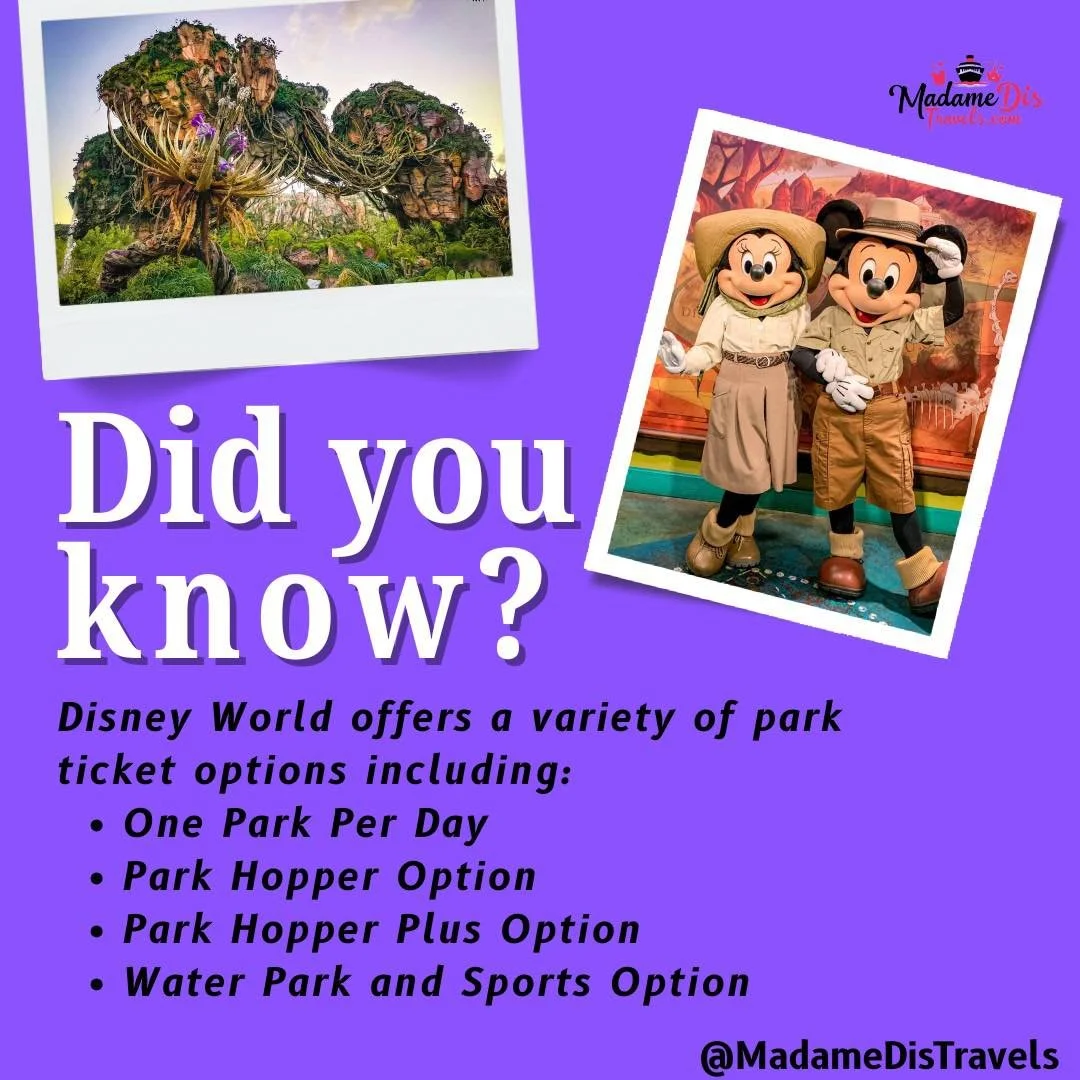 🏰✨ Quick Disney Trip Tips You NEED to Know!

Did you know the My Disney Experience app is your ultimate park sidekick? From ordering food with MagicMobile Service to making dining reservations, it handles so much!

And don't forget the tickets! Whet
