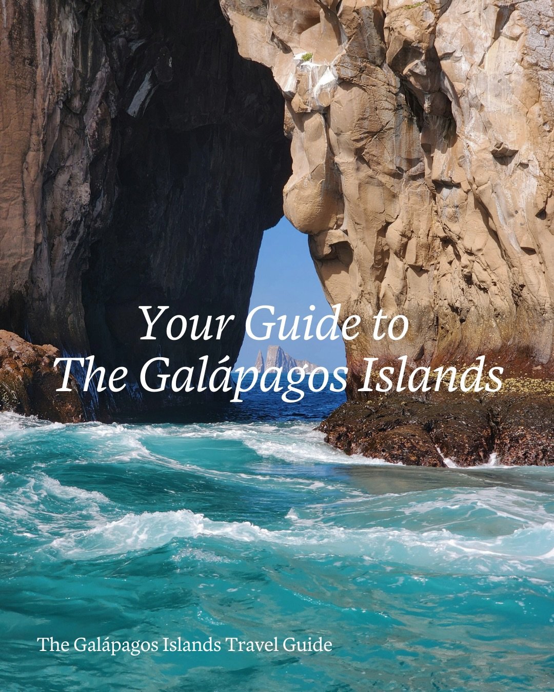 The Gal&aacute;pagos Islands are basically Nature&rsquo;s greatest hits album, and I&rsquo;ve put together the ultimate guide to help you see it all&mdash;from the giant tortoises at El Chato to the sleek, Michelin-inspired decks of the Aqua Mare. 🥂