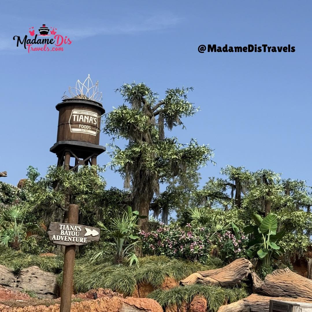 We&rsquo;re almost there! 🐸 Taking a solo trip to the parks is a total game-changer. Single rider lines? Yes, please. Eating a Mickey pretzel for lunch because you can? Absolutely.

As a Disney travel professional and out of state Ankual Passholder,