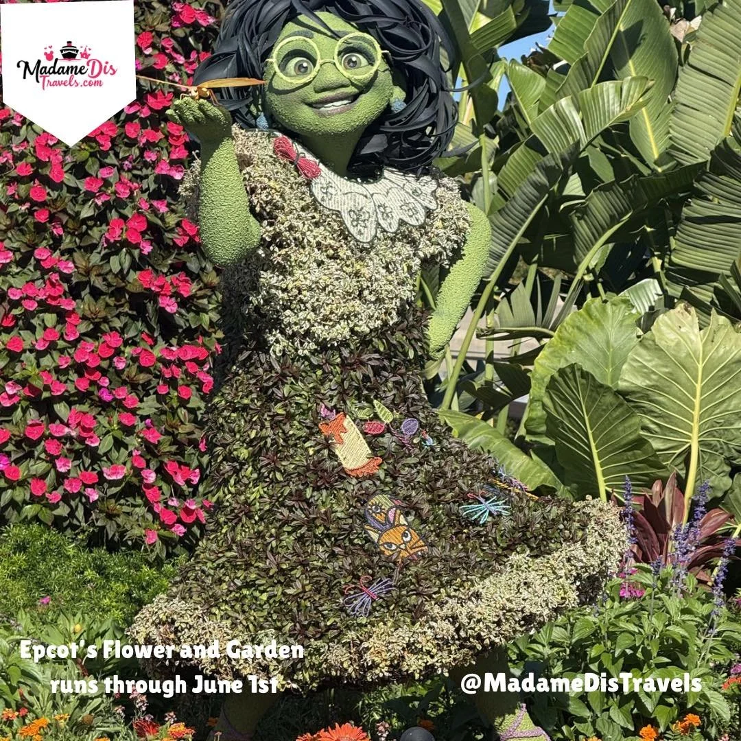 Fun fact: This incredible festival runs through June 1st. If you were looking to experience this specific magic next year, it is never too early to schedule our planning consult!

📩 Planning start at: Yessica.villeta@fora.travel

#EpcotFlowerAndGard