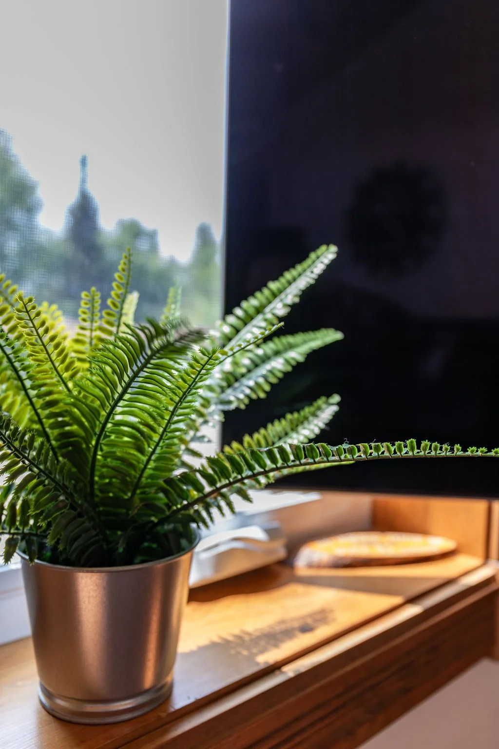 A potted fern plant placed on a wooden windowsill with a view of a city skyline through a mesh screen.