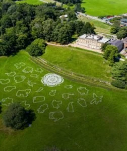 Killamarsh, Cawthorne