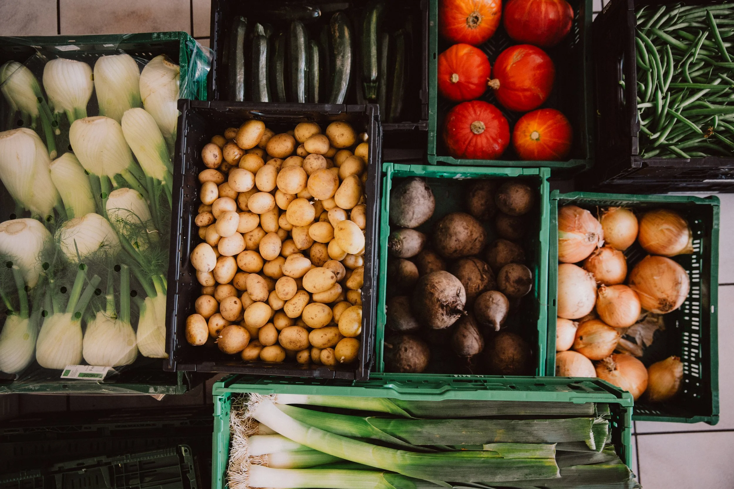 Fermentations Workshop - ausgebucht!