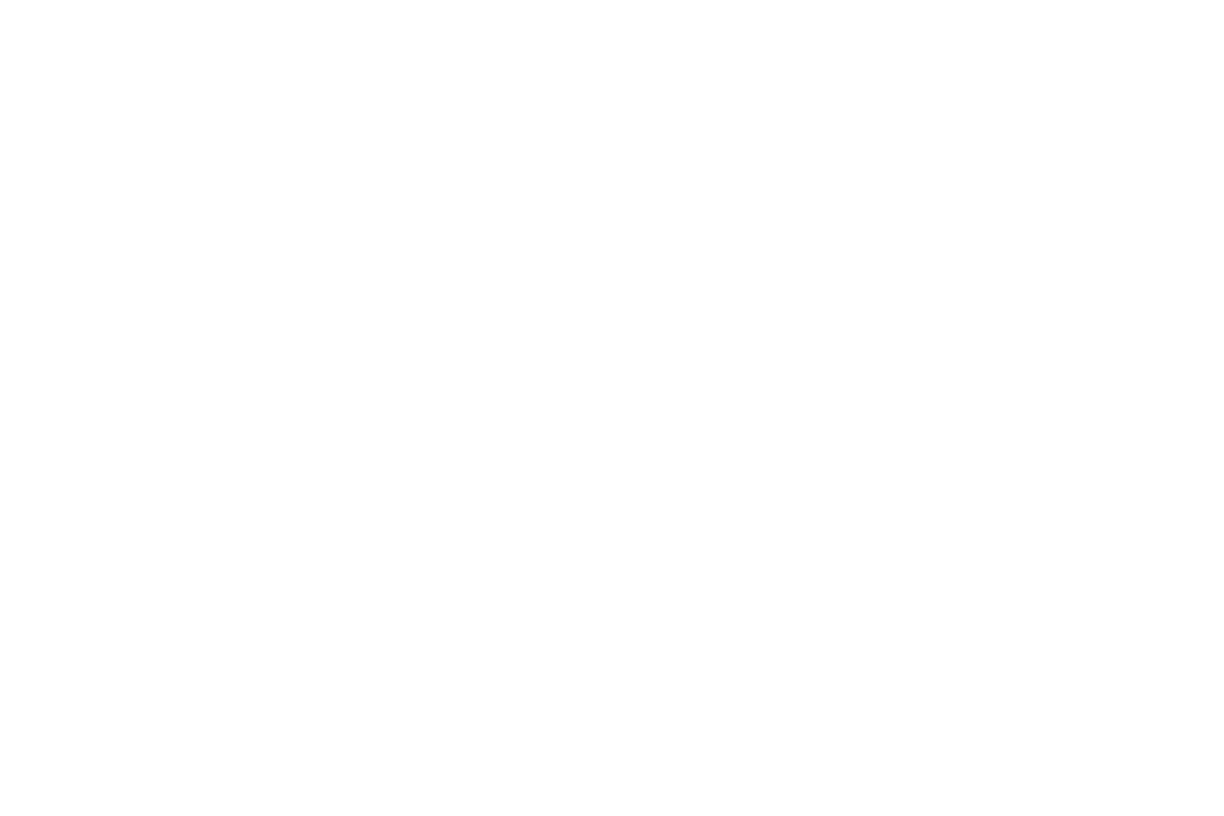 Website LWT Logo.png