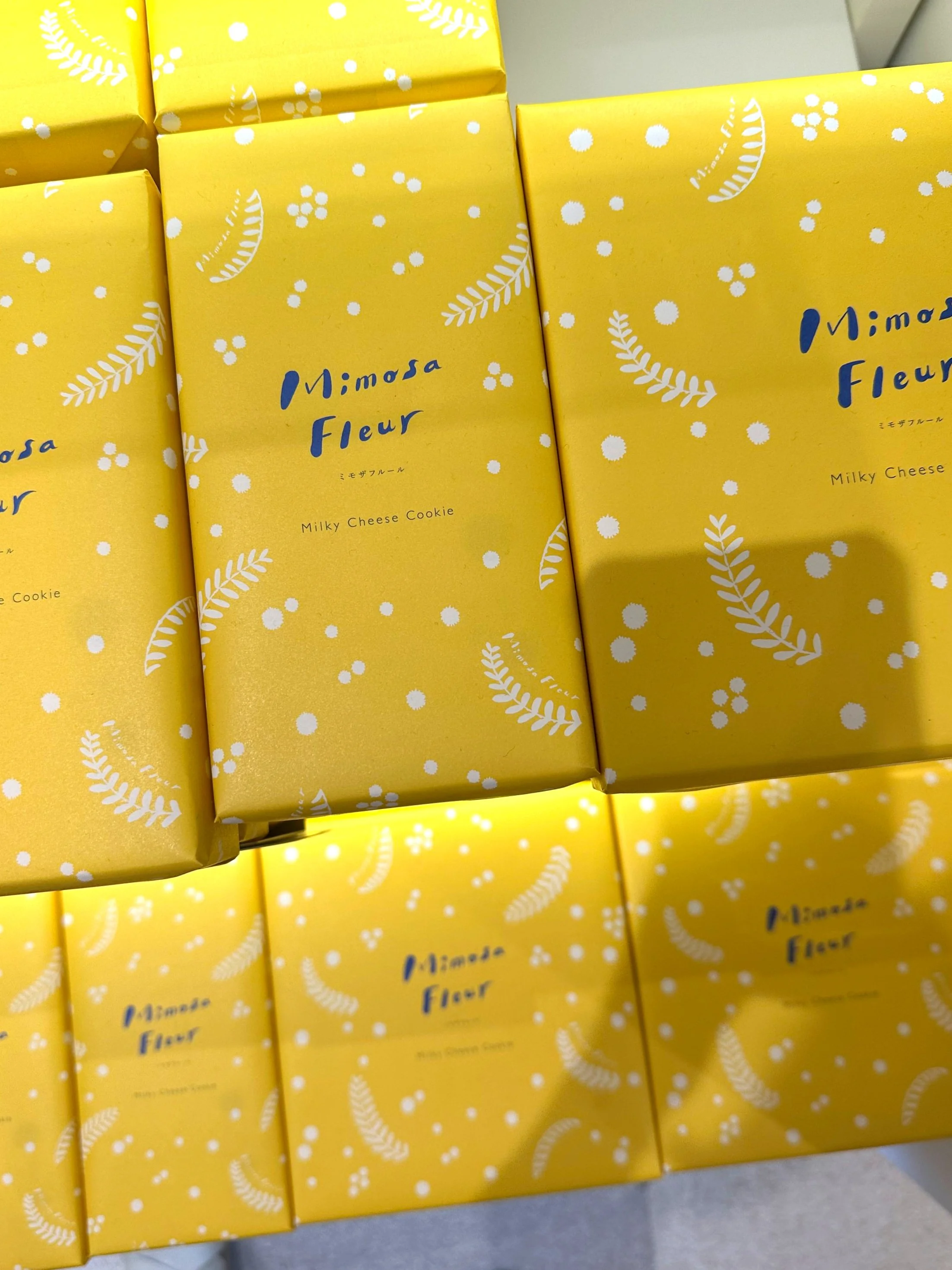 Mimosa Fleur