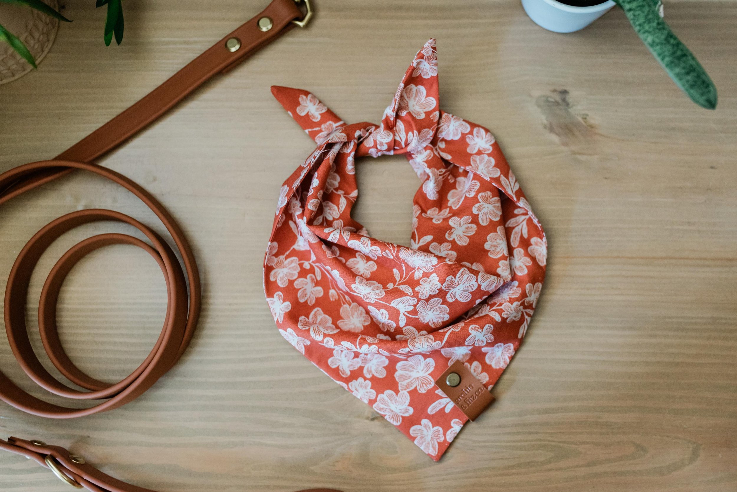 https://i.etsystatic.com/27278878/r/il/a03cff/6240274225/il_fullxfull.6240274225_l3qn.jpg