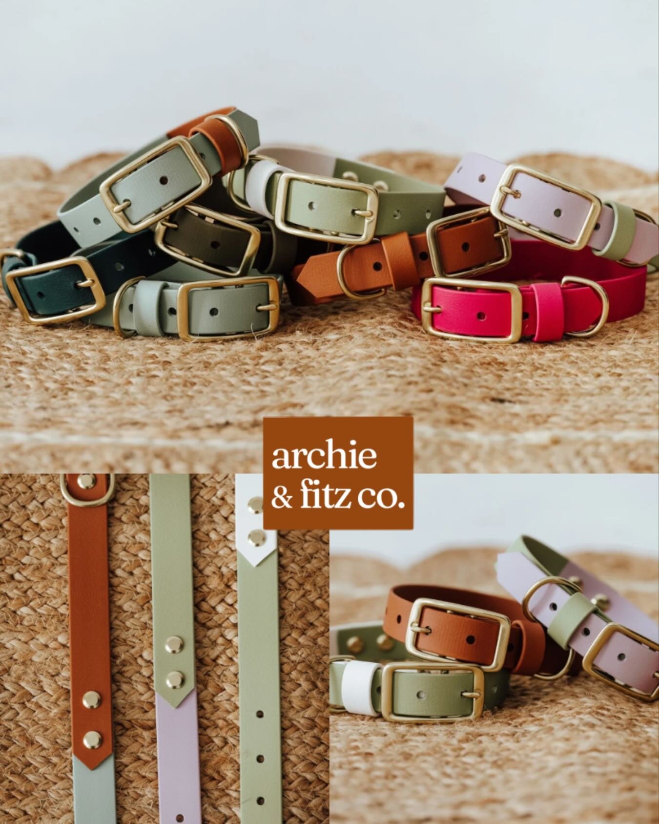 Collars that match every palette&mdash;because your dog deserves options.🐾🎨😌✨

#dog #dogmom #dogstagram #dogs #doggo #dogaccesories #dogcollarshandmade #biothane #dogsofinstagram