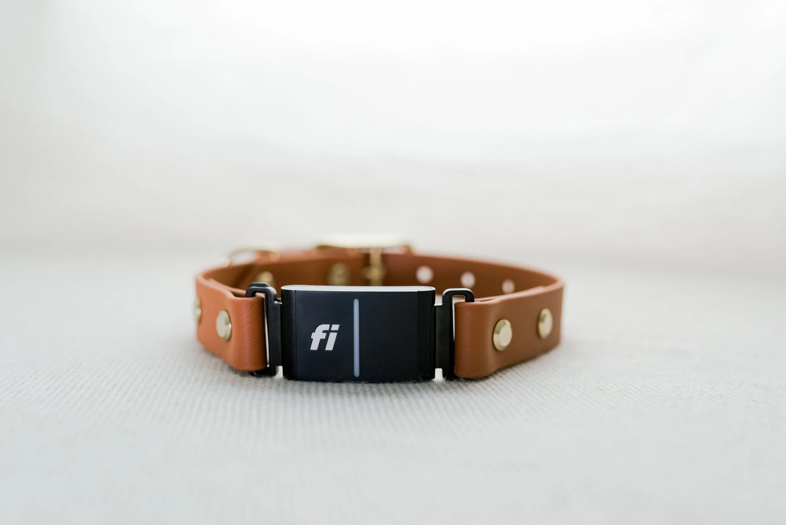 Fi Series 3+ Compatible Collar