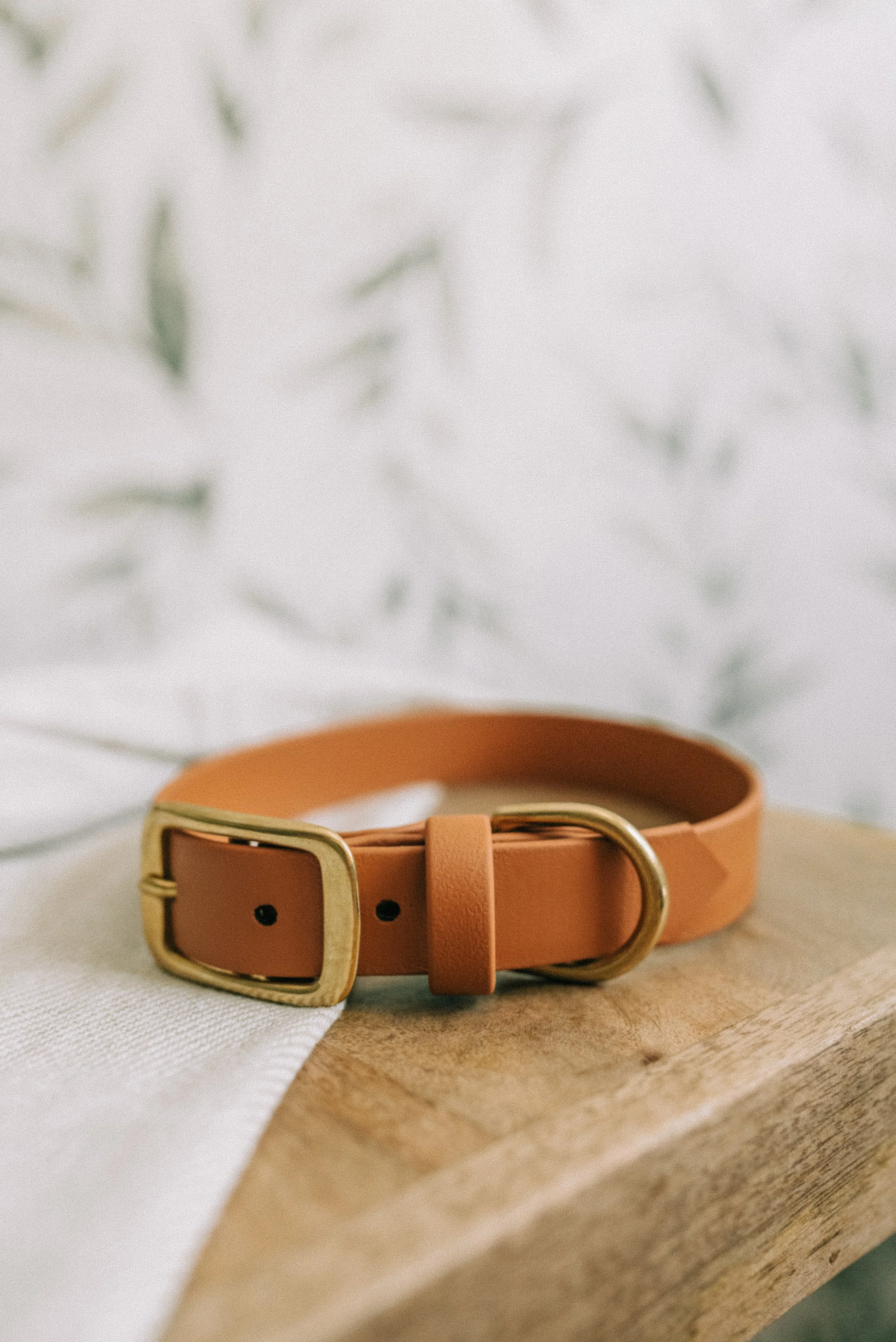 English Tan Collar