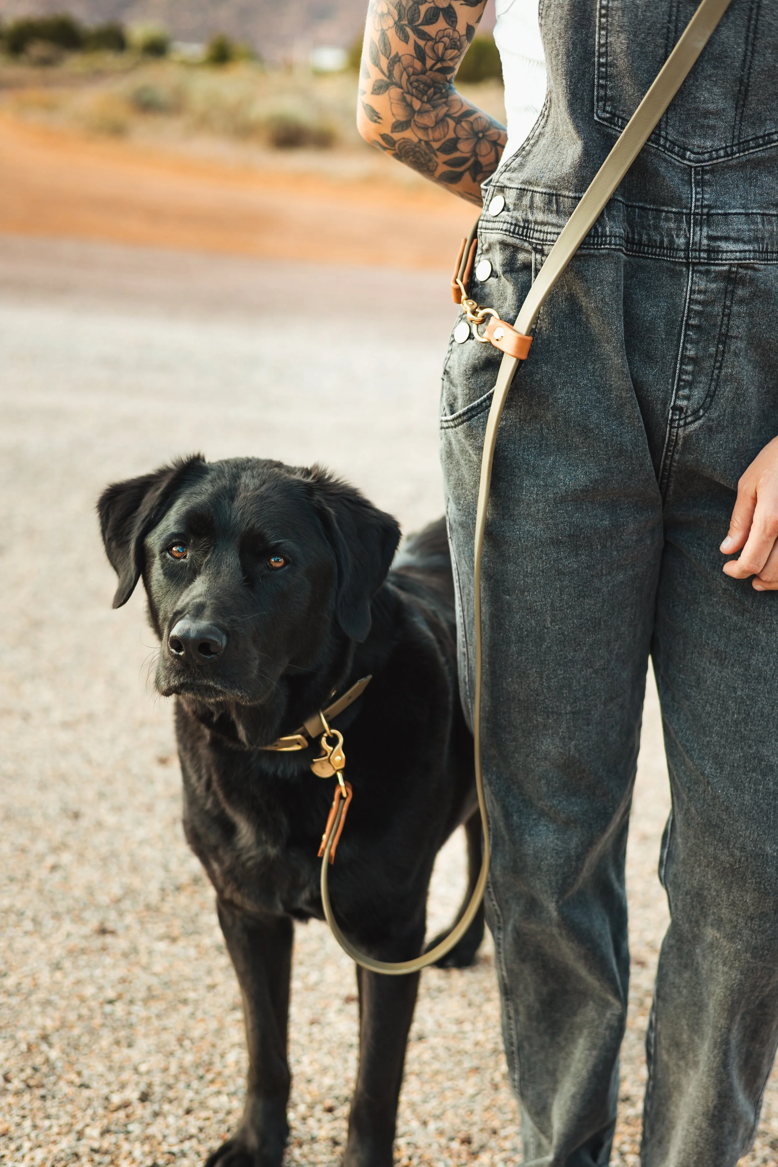 Handsfree Dog Leash