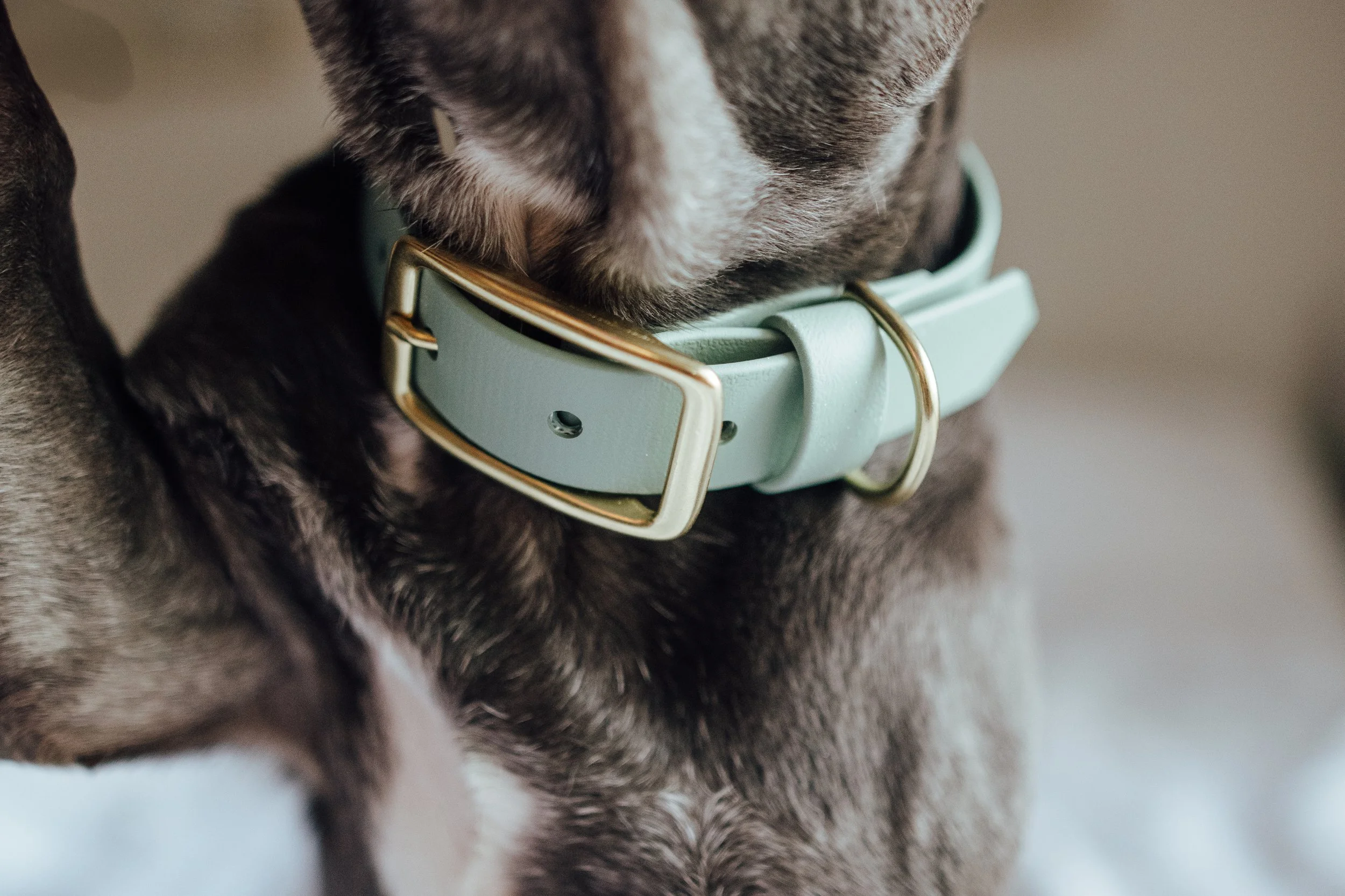 Sage Collar