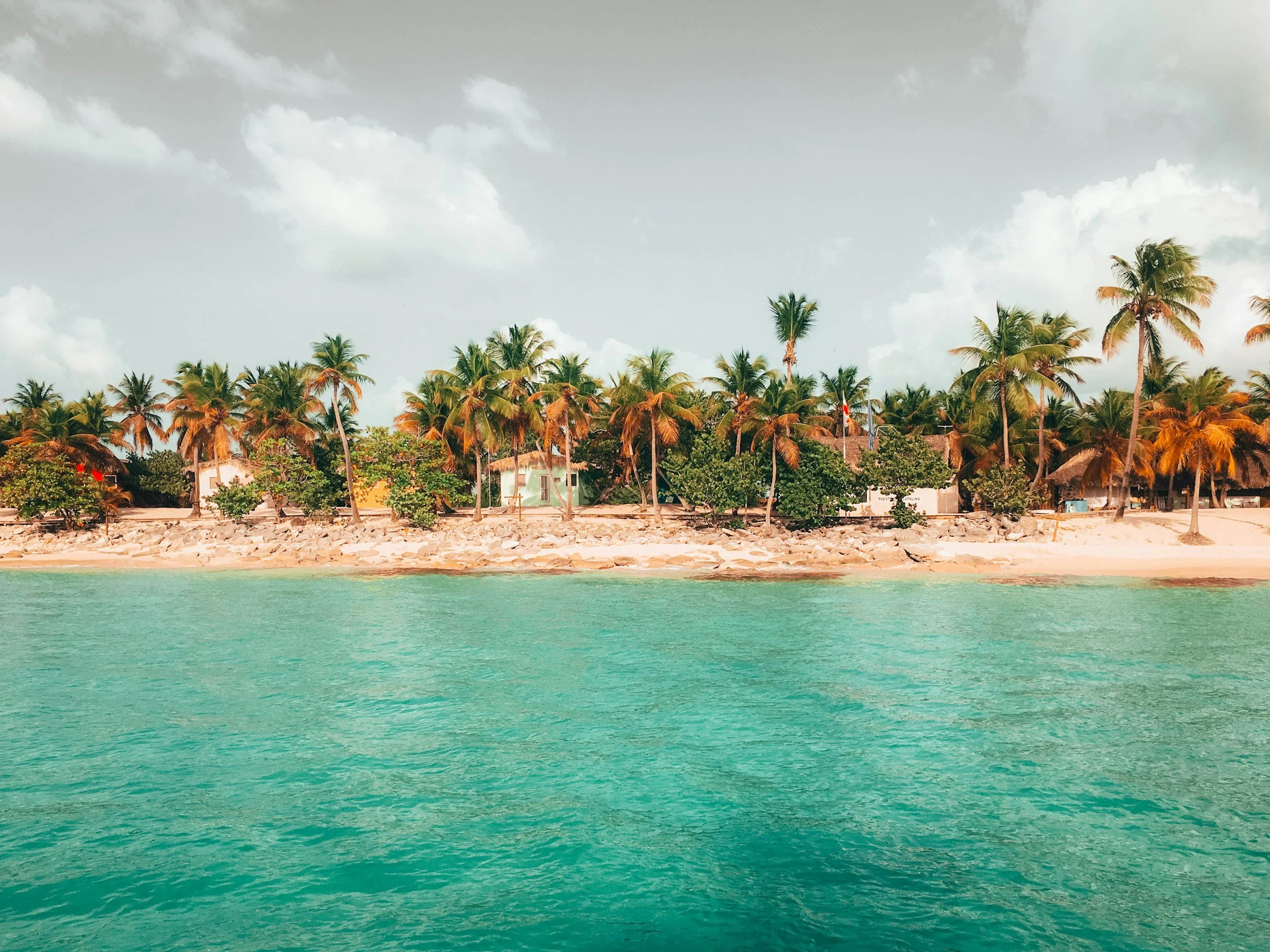 Tropical beach with turquoise water, sandy shore, and numerous palm trees, some with brown fronds, under a partly cloudy sky.