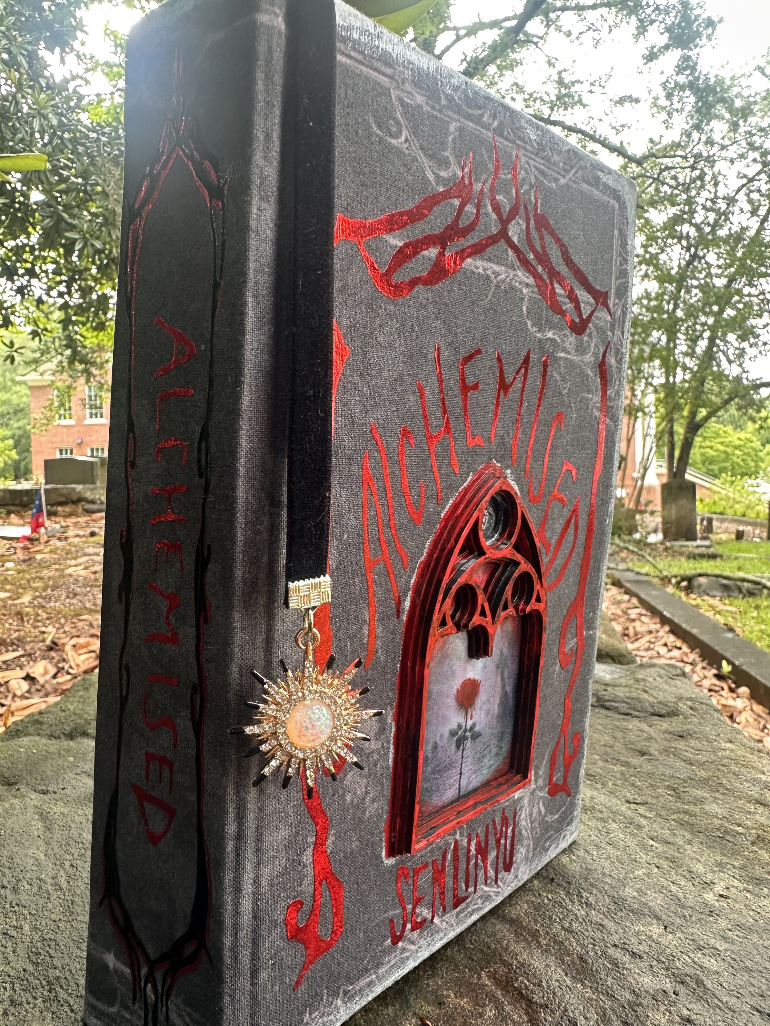 IMG_6207.jpg