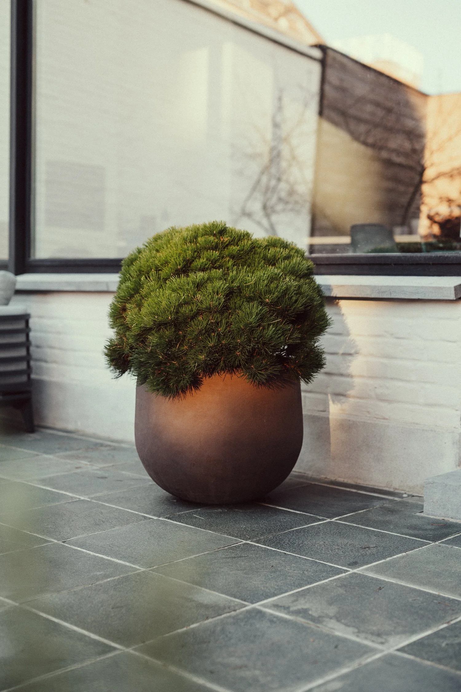 Grote, ronde, zwarte plantenpot op houten terras, naast paarse bloemen