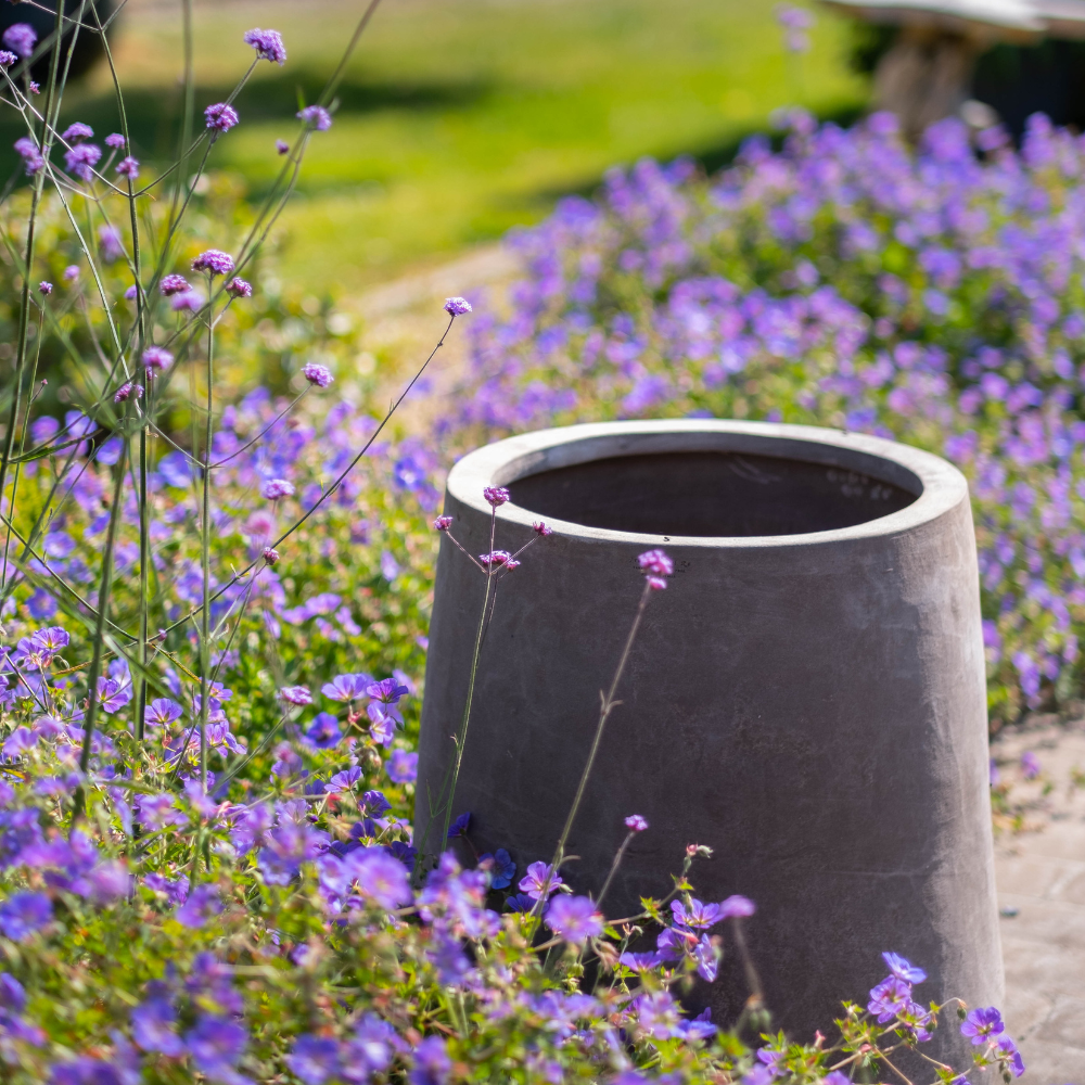 Grote ronde lege bloempot in een tuin met veel paarse bloemen en groene planten.