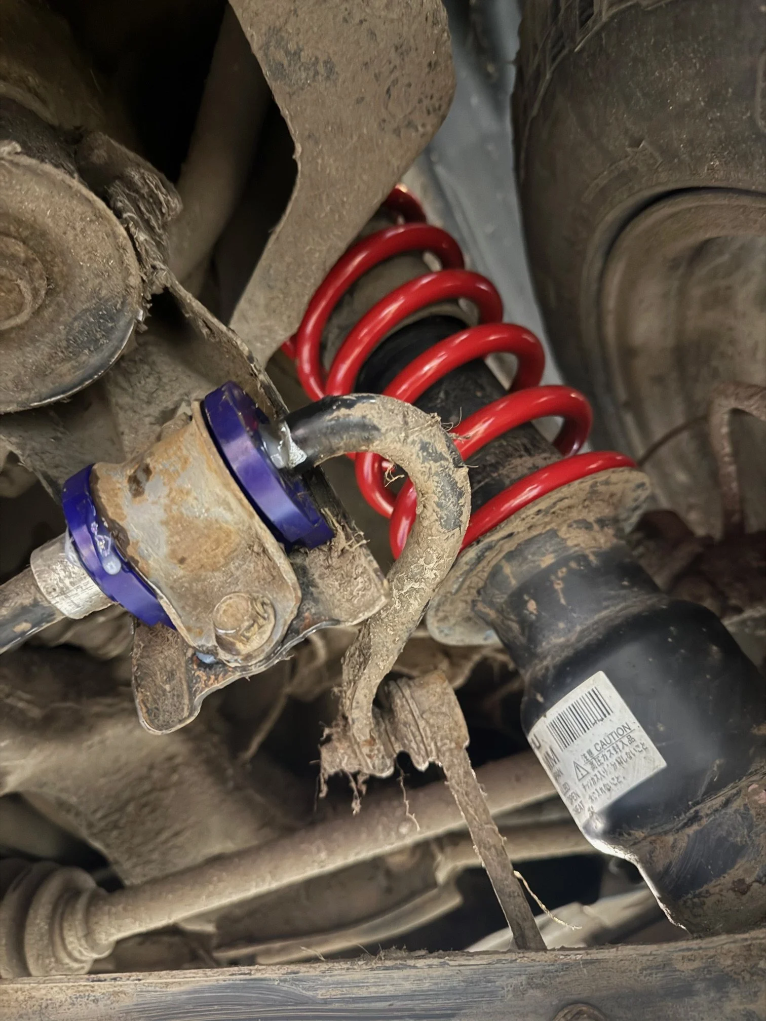 Off-Road Adventures: Enhancing Our Forester Builds