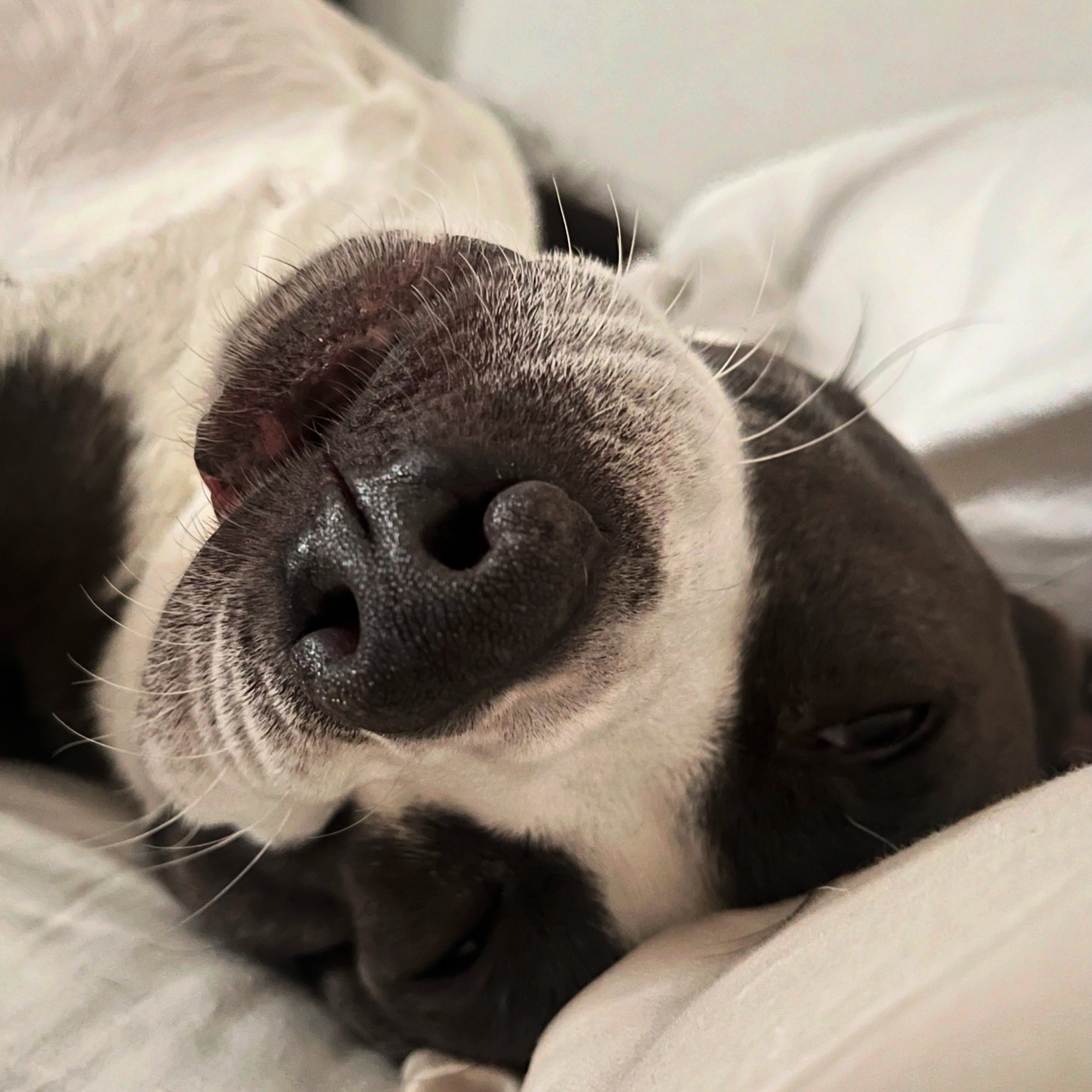 NO POP-UPS UNTIL 12/27