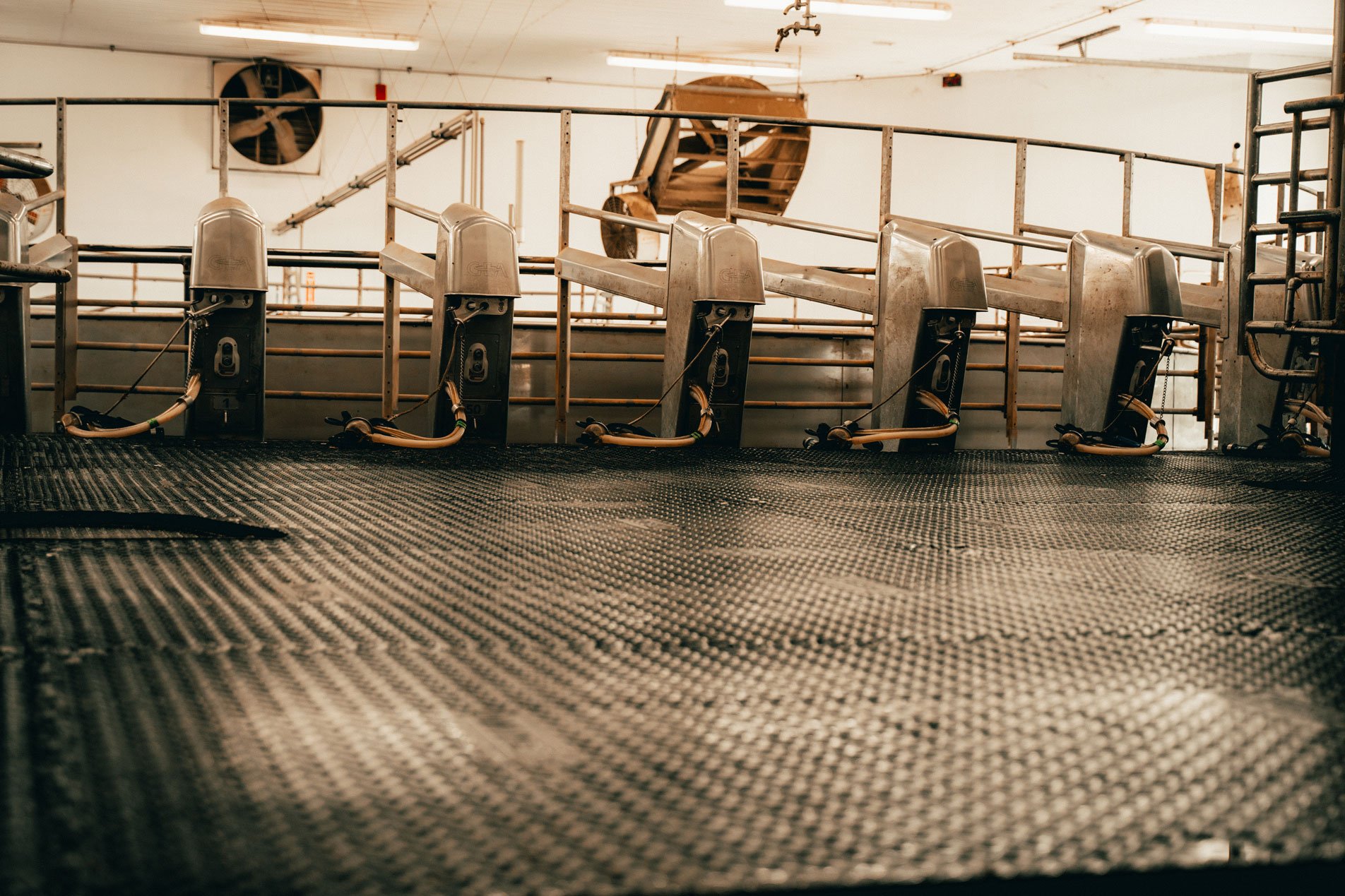 Agricultural Dealerships — Legend Rubber — The Bedrock of Healthy Herds