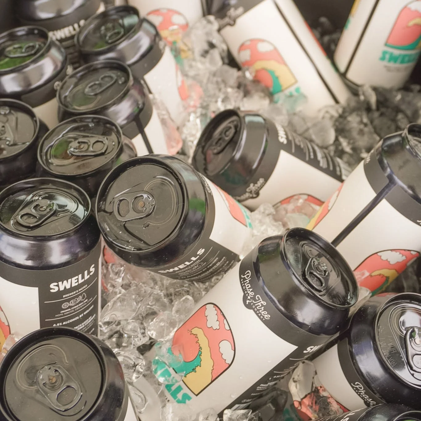 craft beer cans from central illinois brewery at bust'd beer bash in peoria heights, il