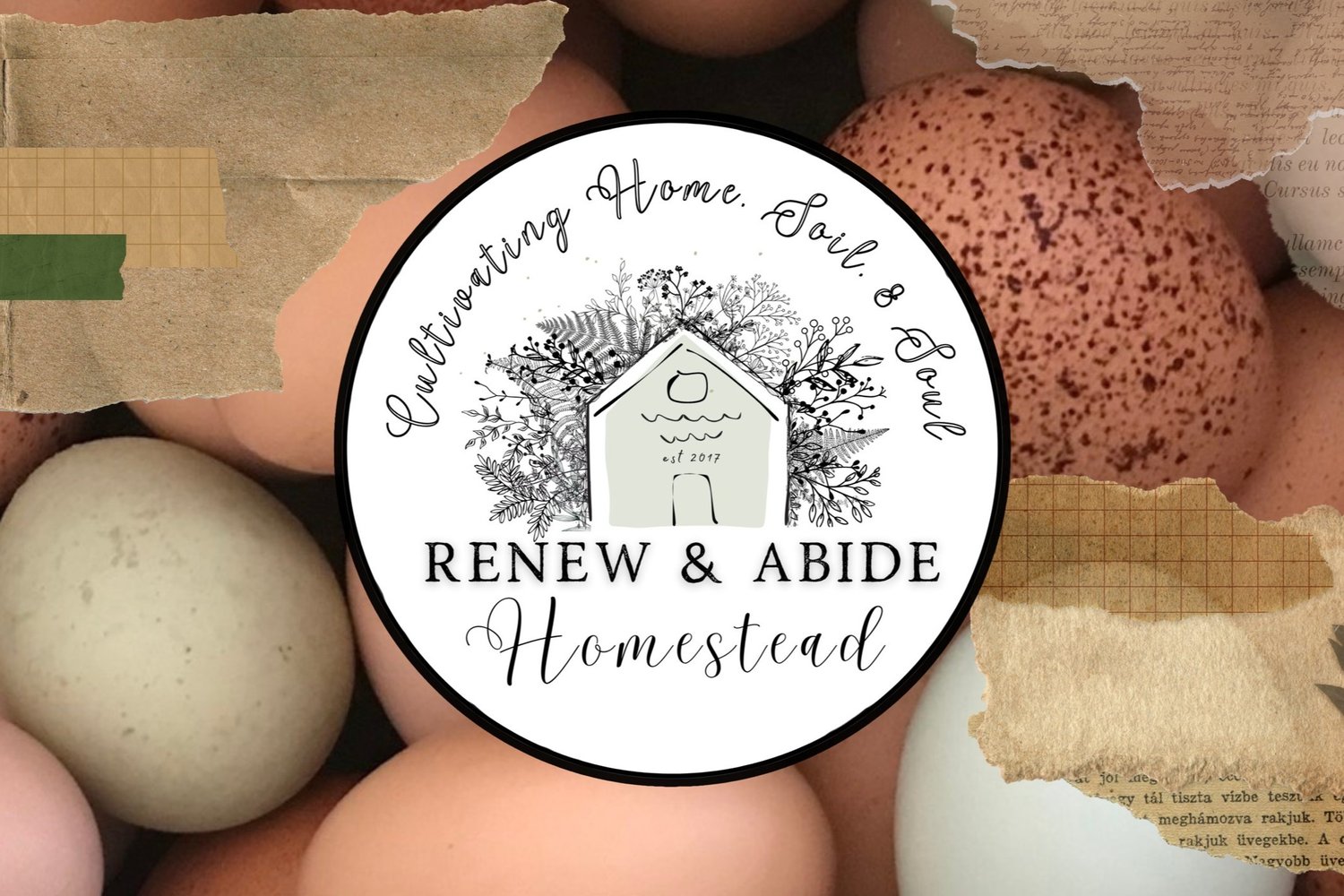 Renew &amp; Abide Homestead • Cultivating Home, Soil, &amp; Soul