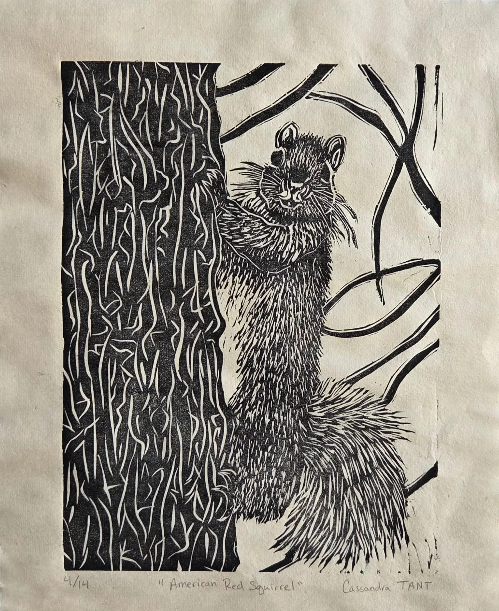 "American Red Squirrel", 2025, 10" x 8"