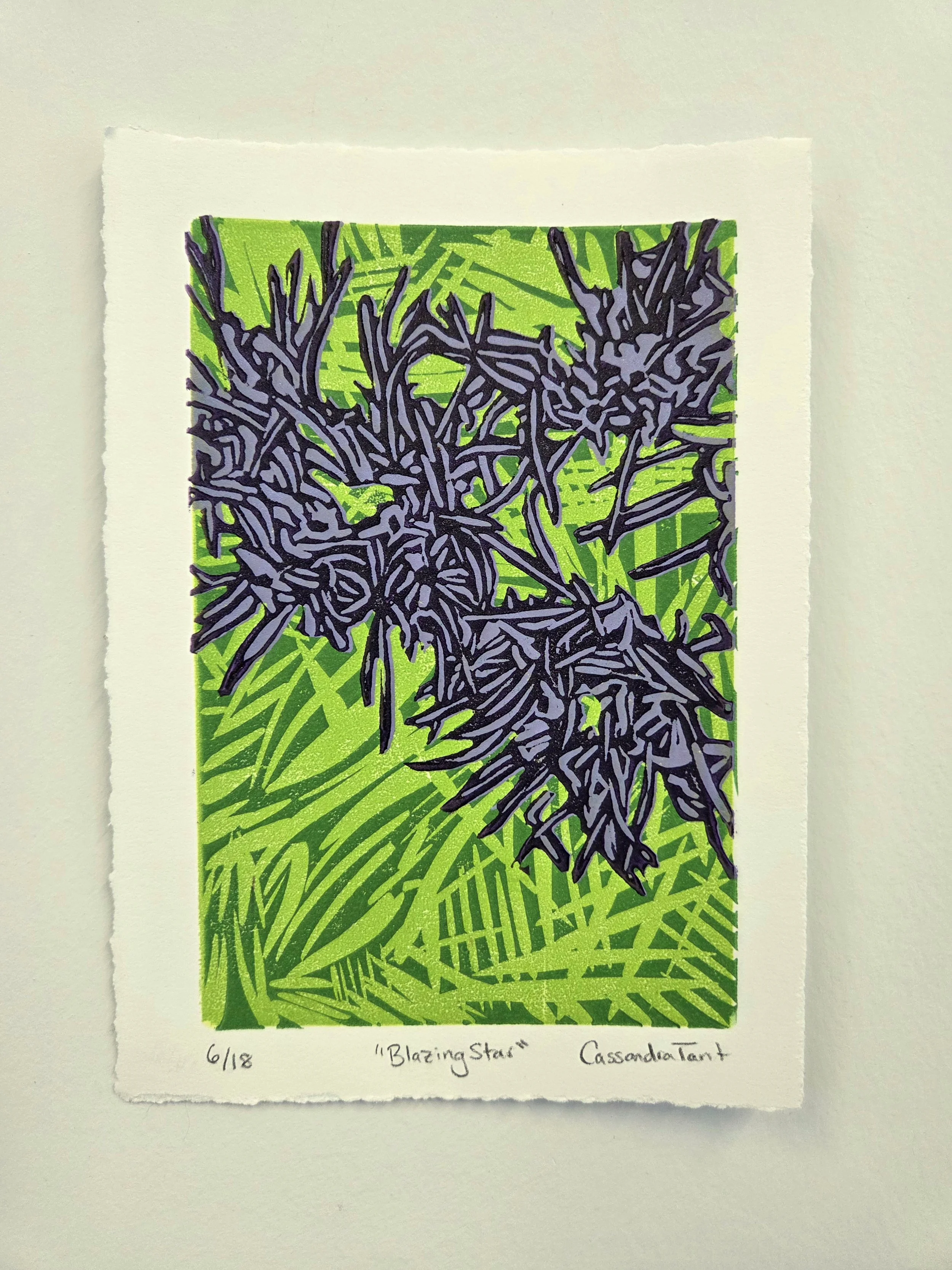 Blazing Star Print