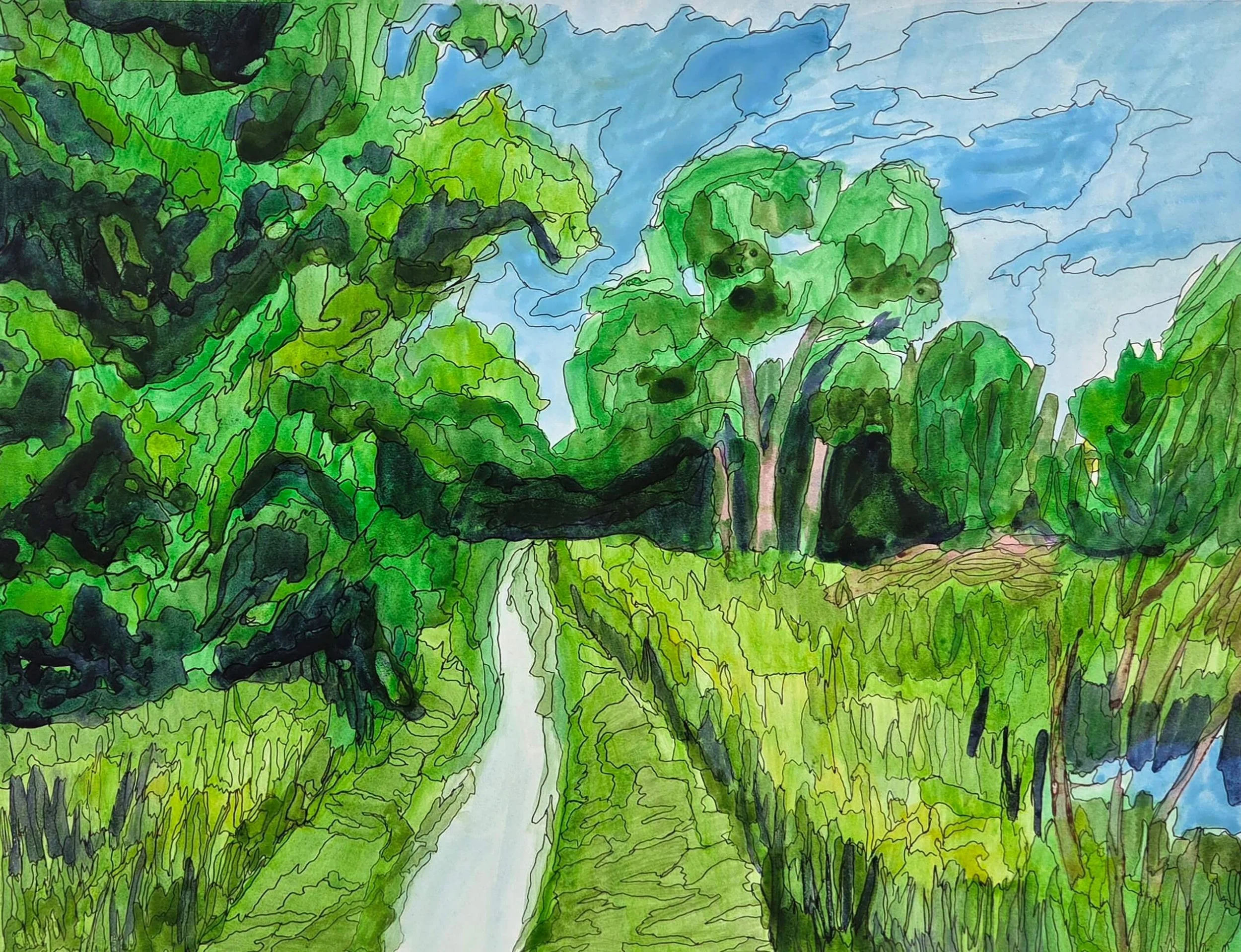 "Green Valley (Creston)", 2025, ink on paper, 11" x 14"