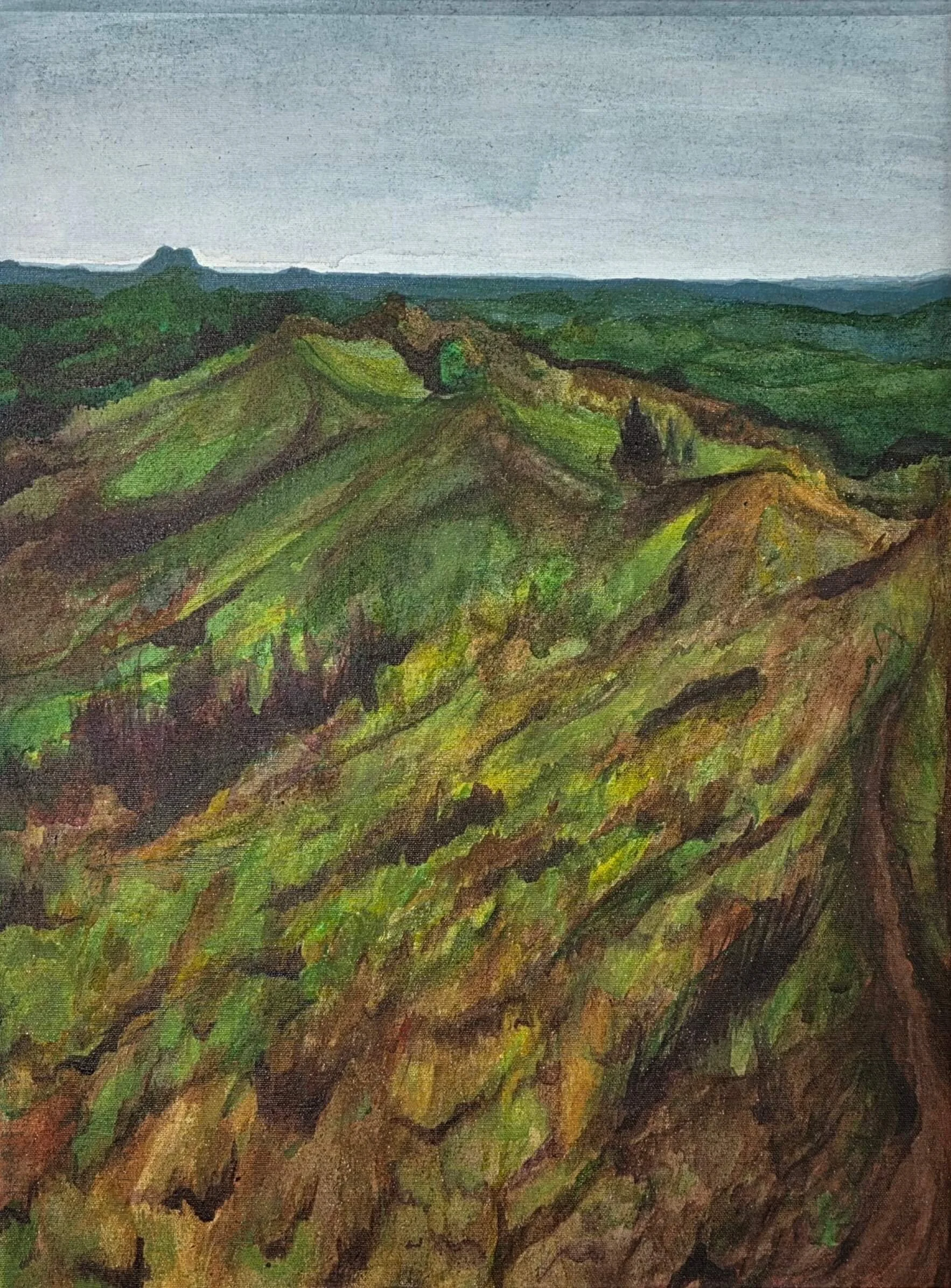 "Loess Hills (the Lecture)", 2025, ink on canvas, 24" x 18"