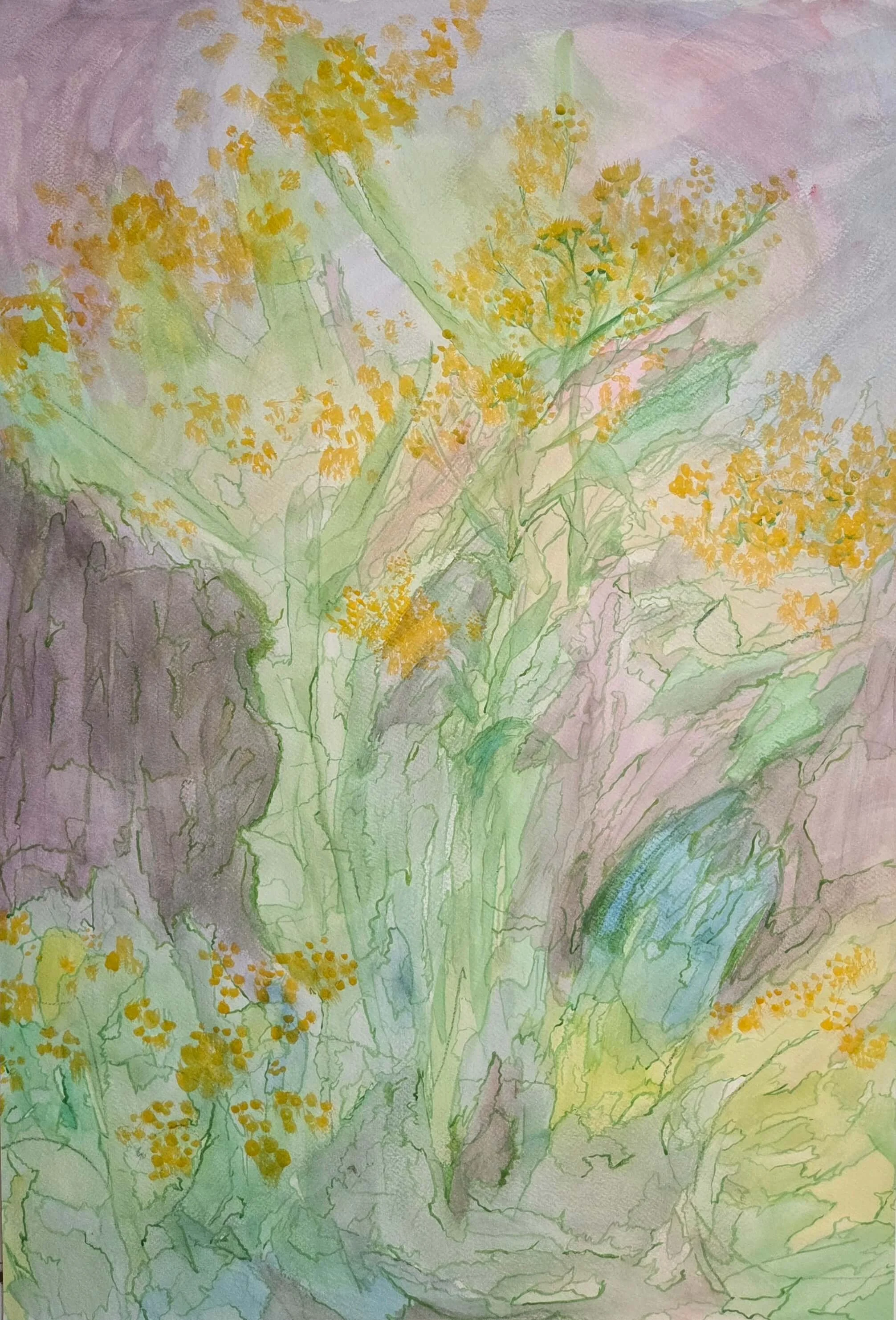 "Solidago Rigida", 2023, watercolor and ink on paper, 24" x 18"