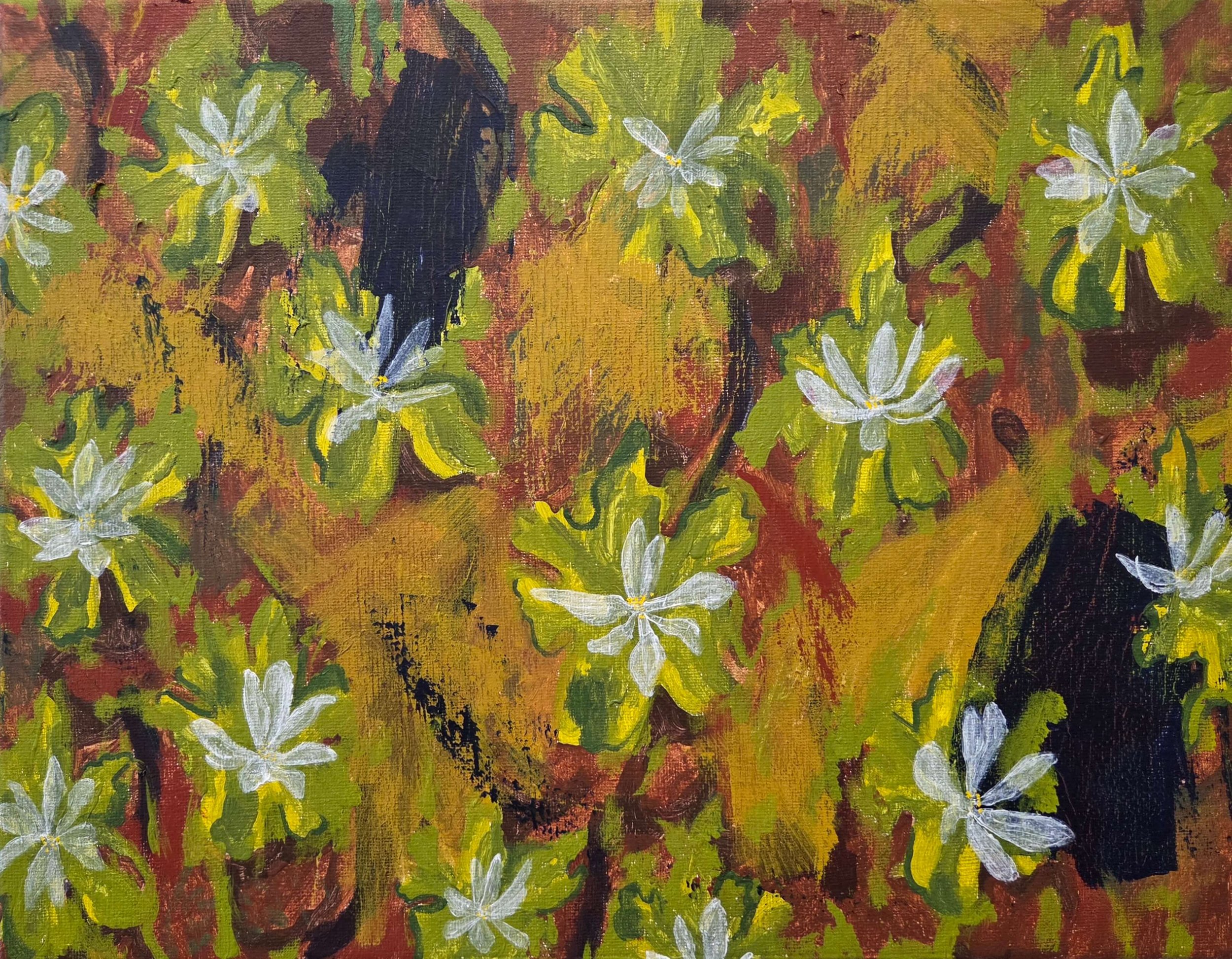 "Bloodroot", 2026, acrylic and ink on canvas, 11" x 14"