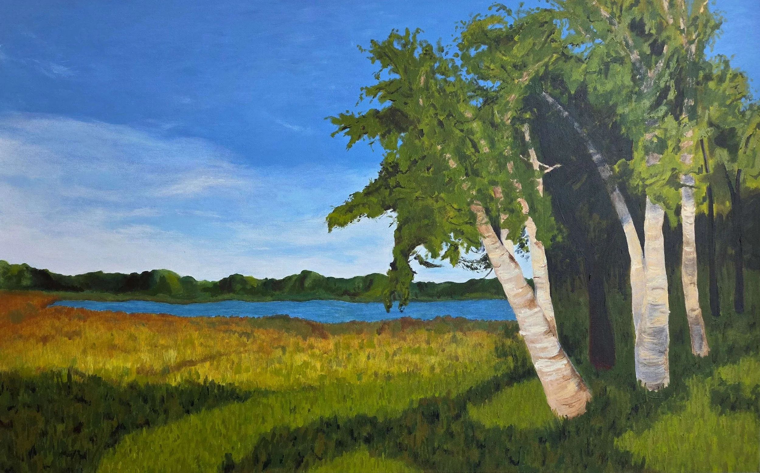 "Paper Birch Trees", 2025, acrylic on canvas, 30" x 48"