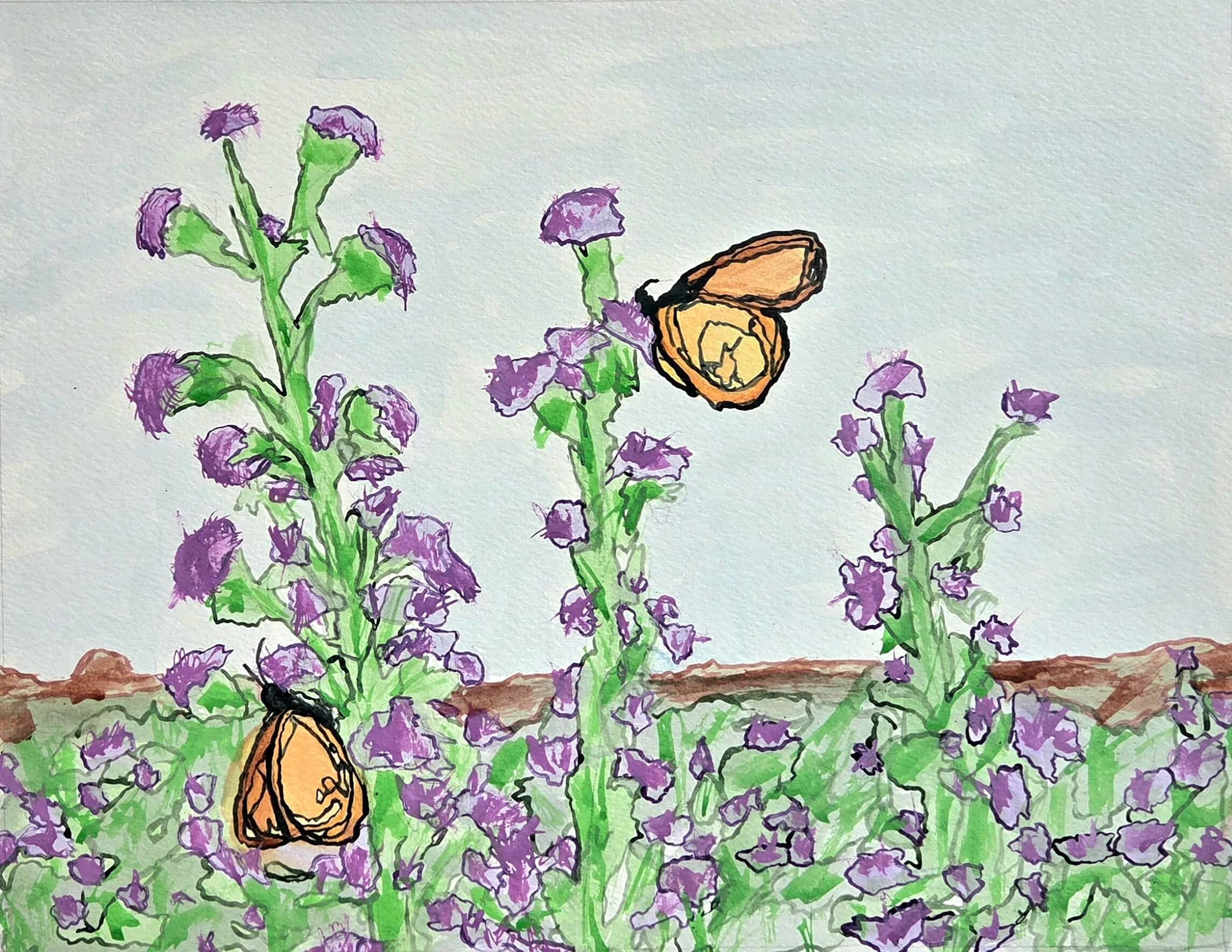 "Blazing Star", 2025, ink on paper, 10.5" x 13.5"